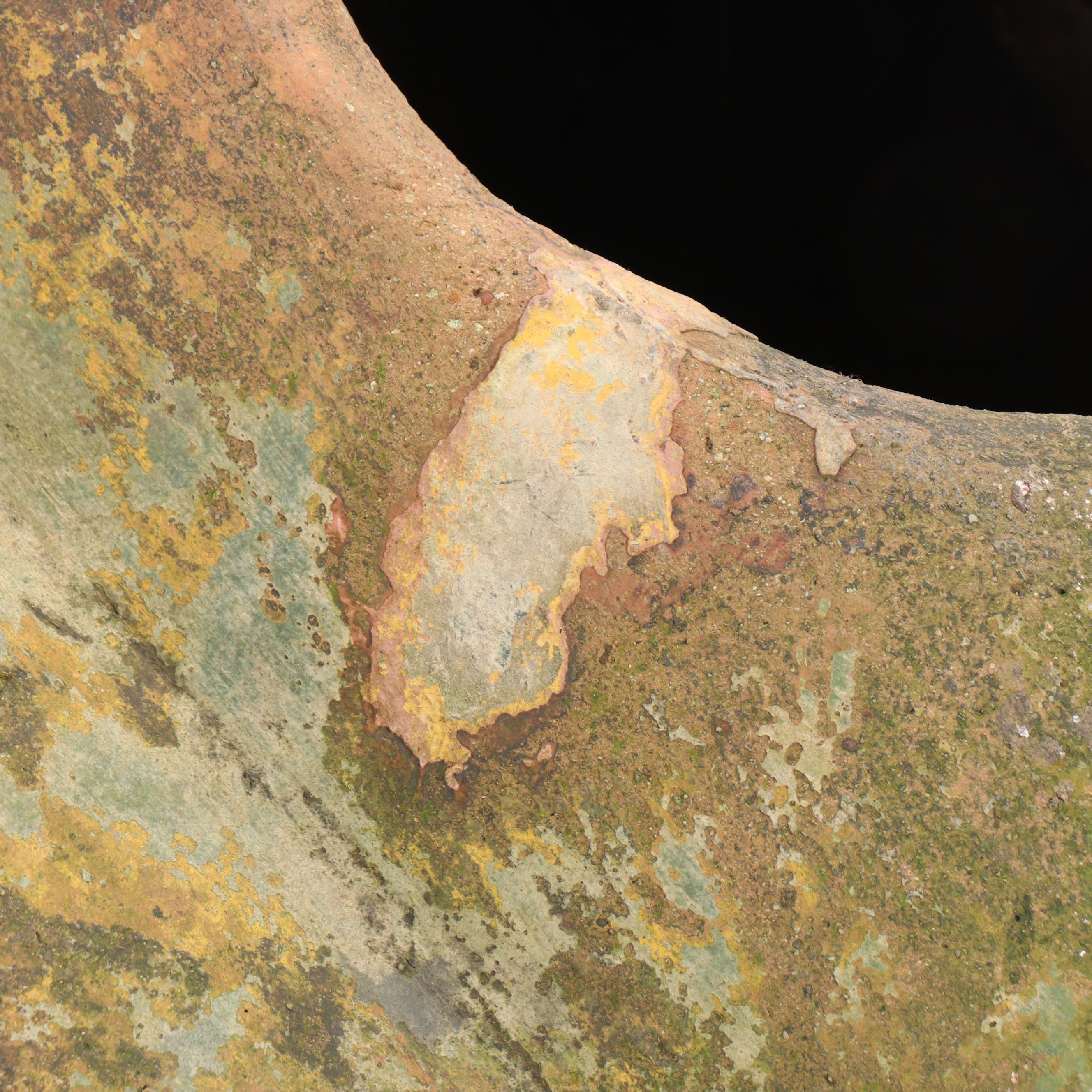 Rustic Frog Metal Planter