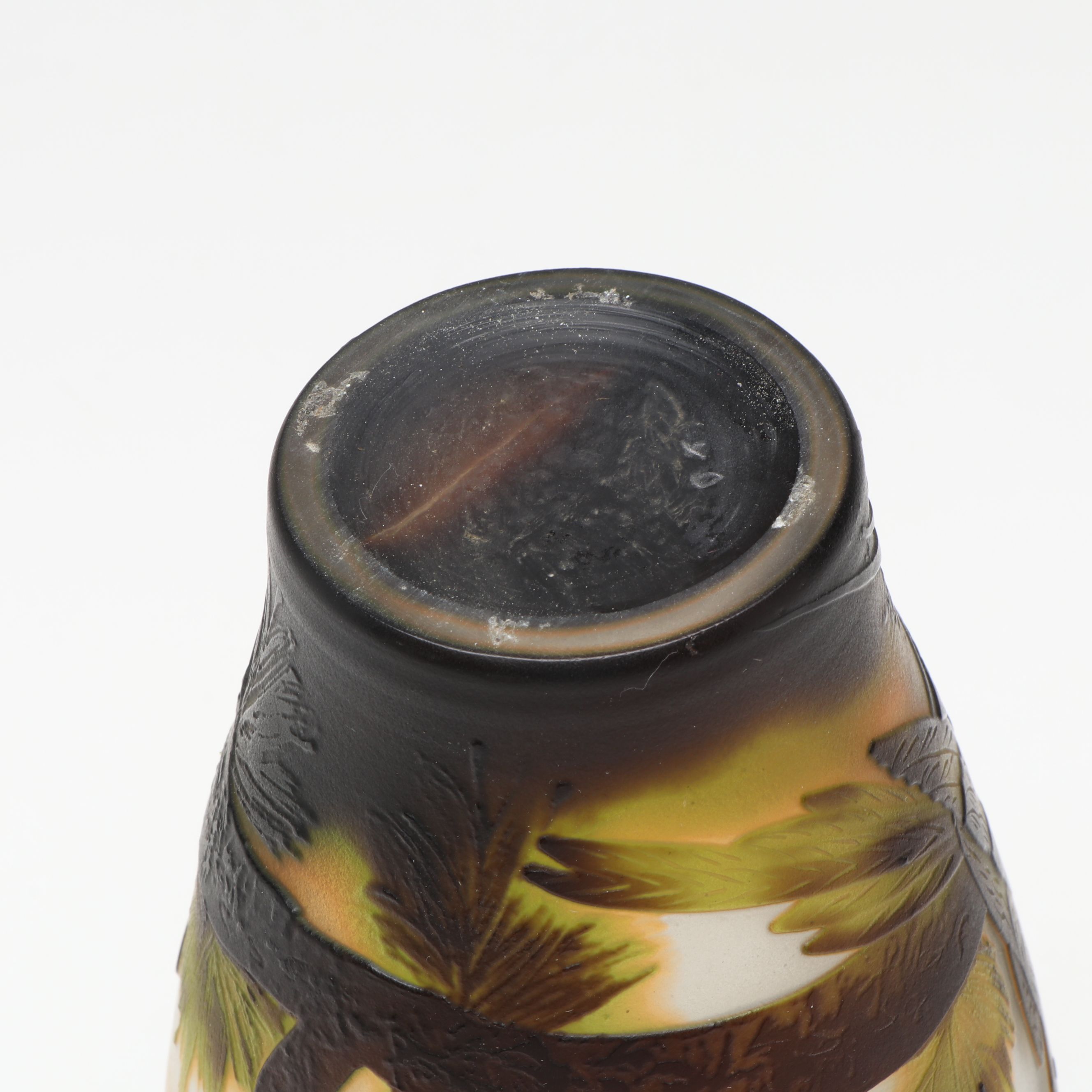 Botanical Frosted Art Glass Cameo Vase