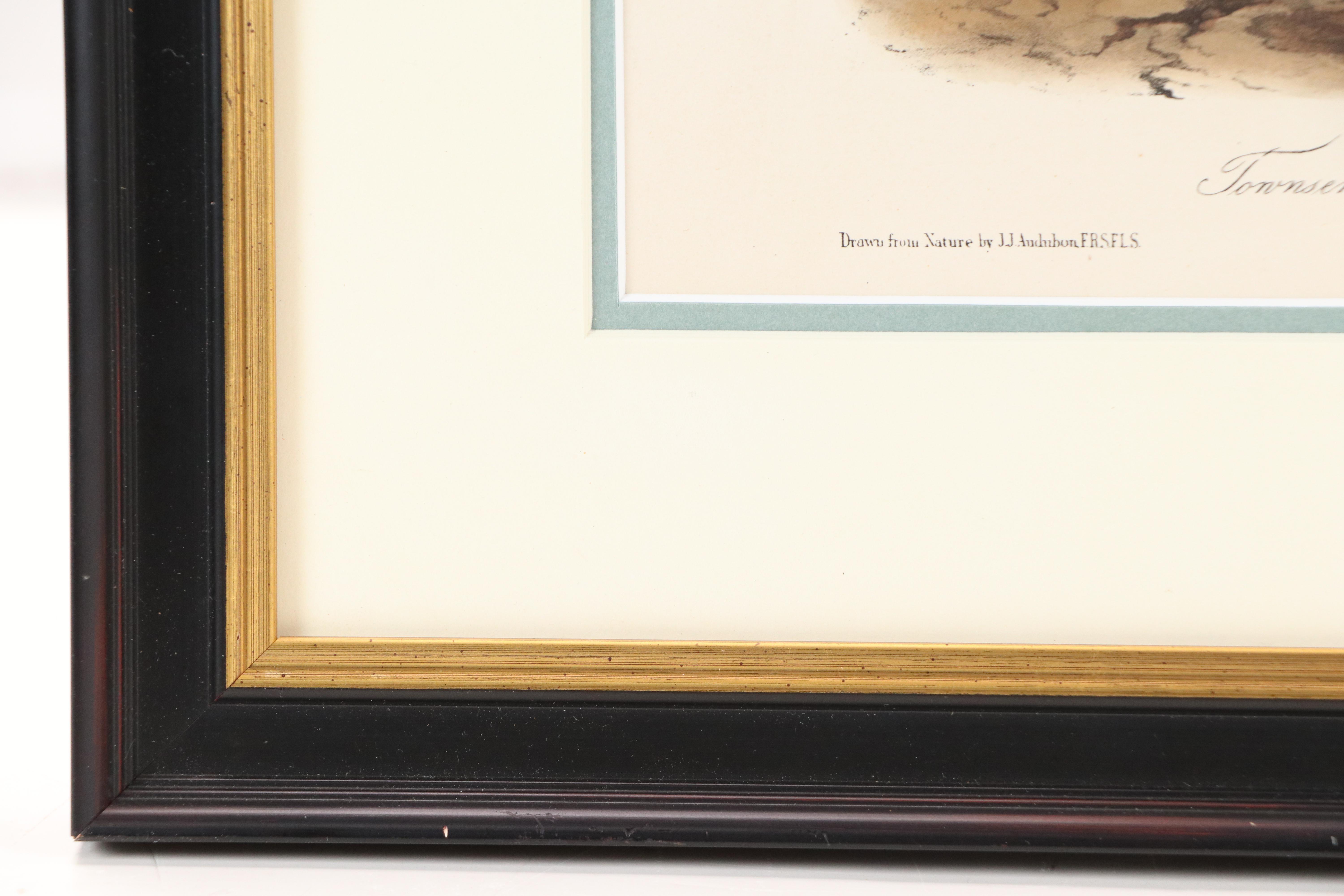 John James Audubon Handcolored Lithograph "Townsend's Oystercatcher," Circa 1856