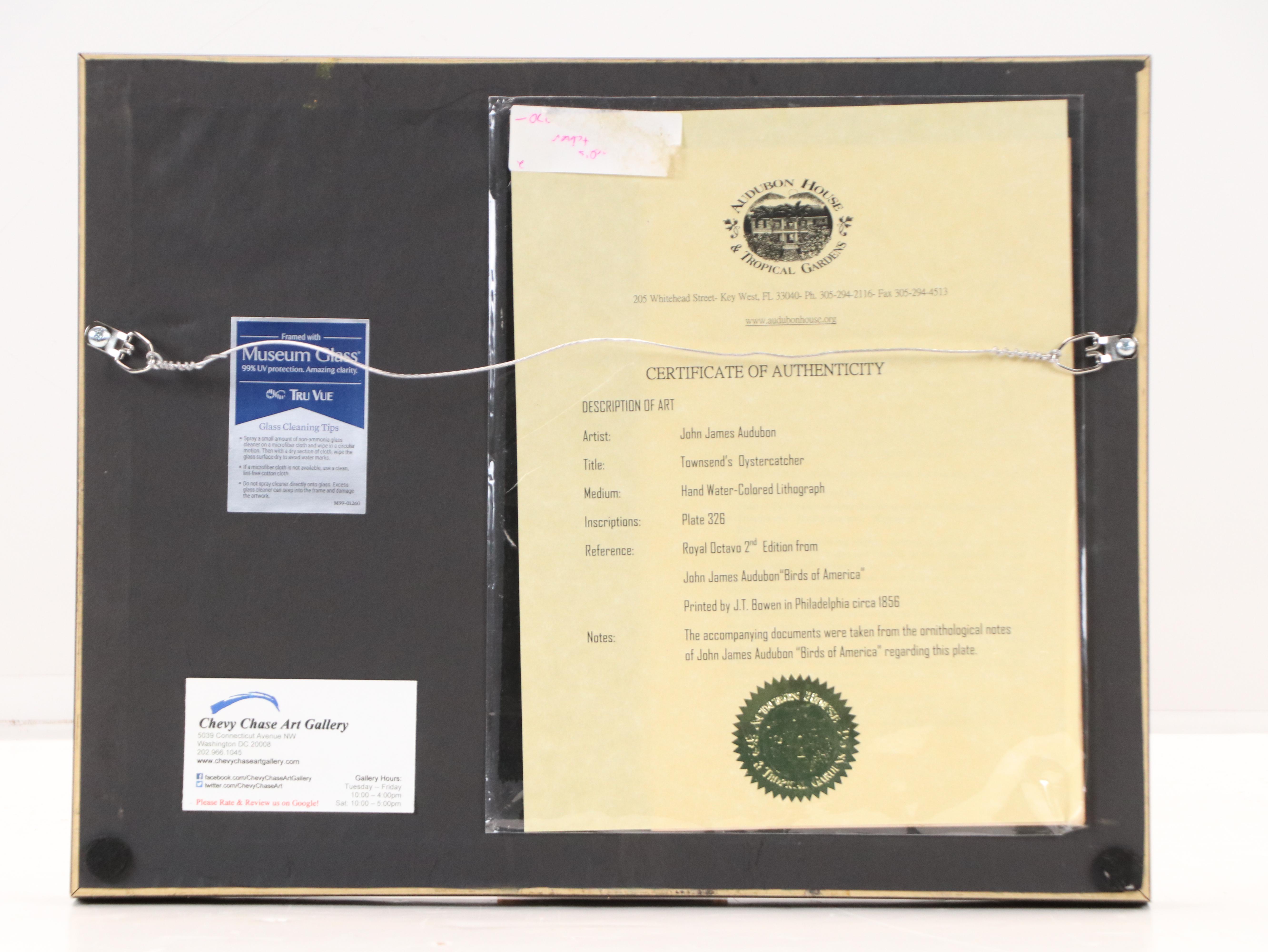 John James Audubon Handcolored Lithograph "Townsend's Oystercatcher," Circa 1856