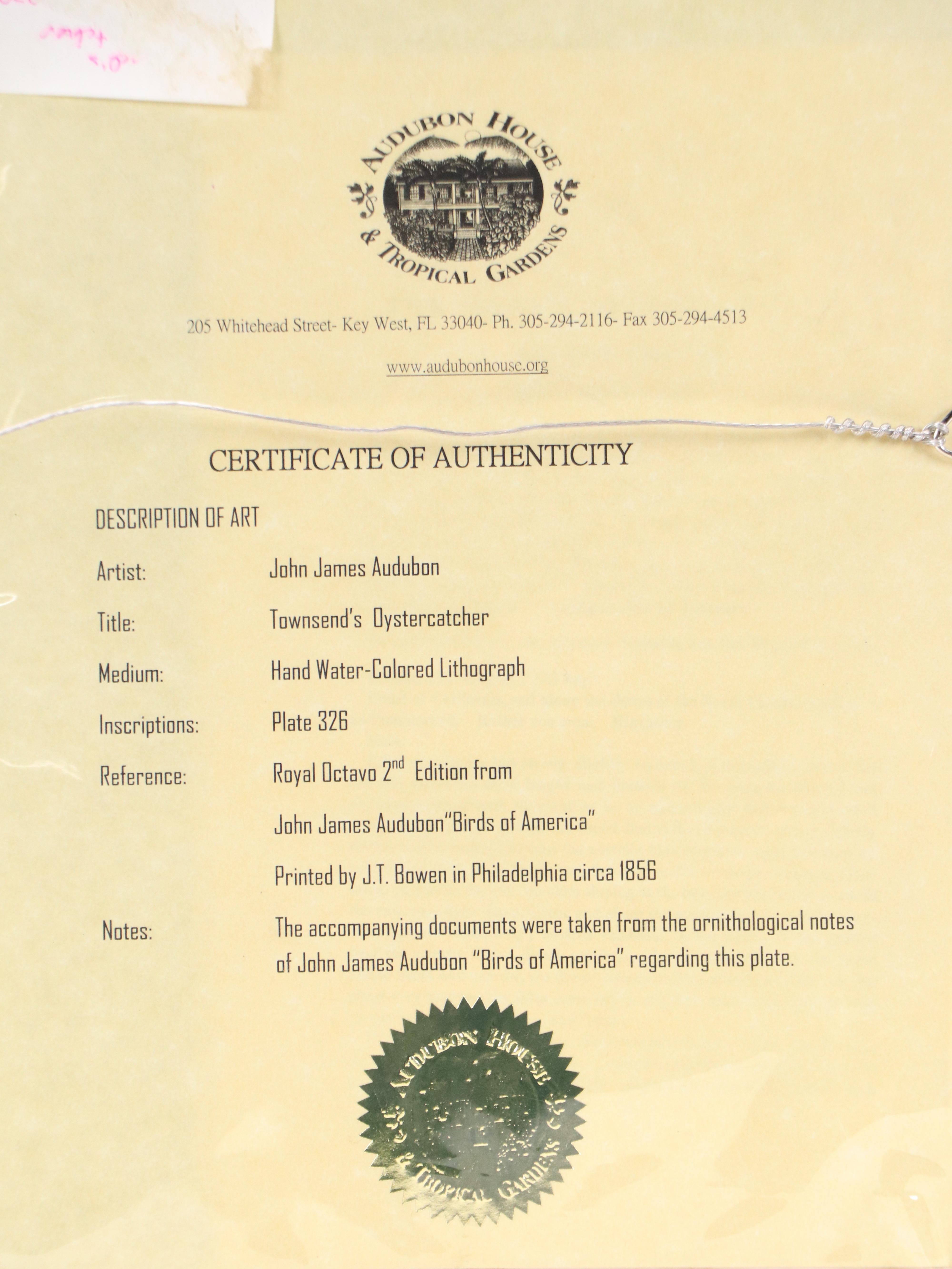 John James Audubon Handcolored Lithograph "Townsend's Oystercatcher," Circa 1856