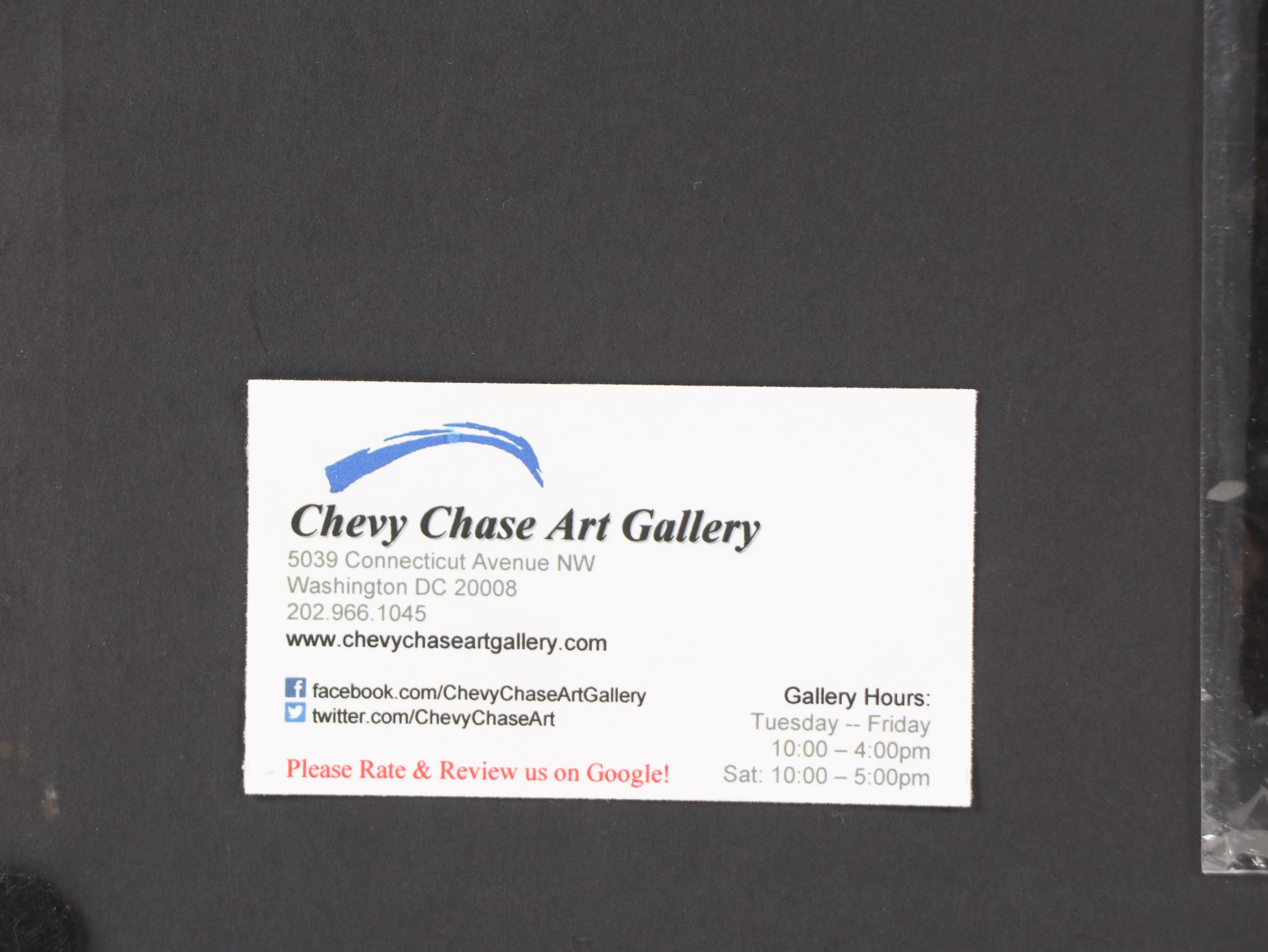 John James Audubon Handcolored Lithograph "Townsend's Oystercatcher," Circa 1856