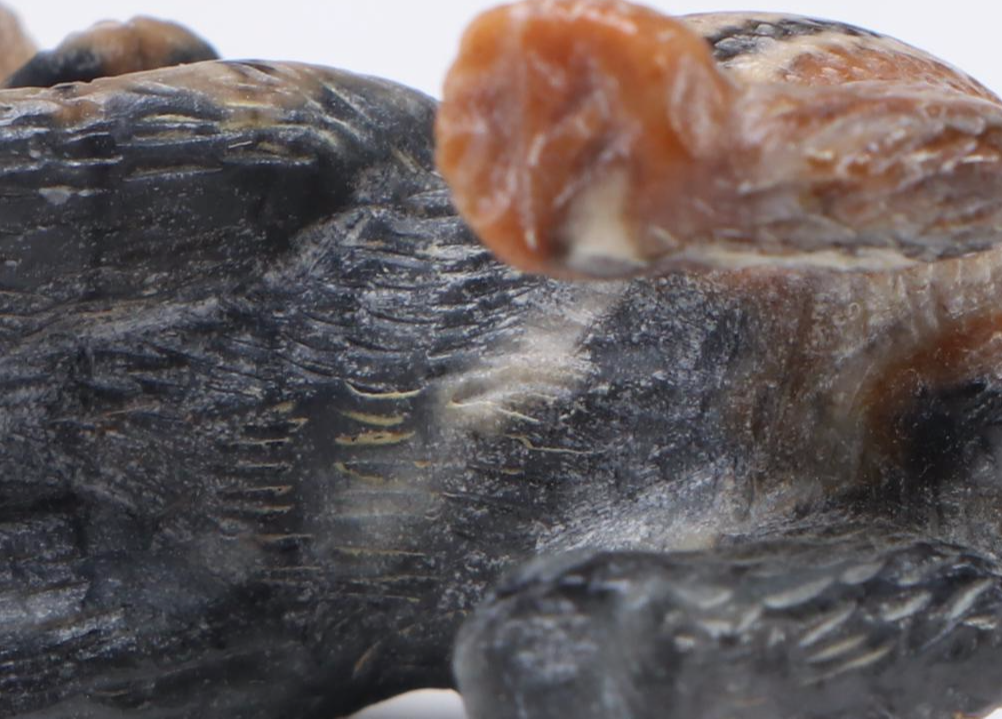 Fabian Cheama Zuni Carved Picasso Marble Bobcat Fetish