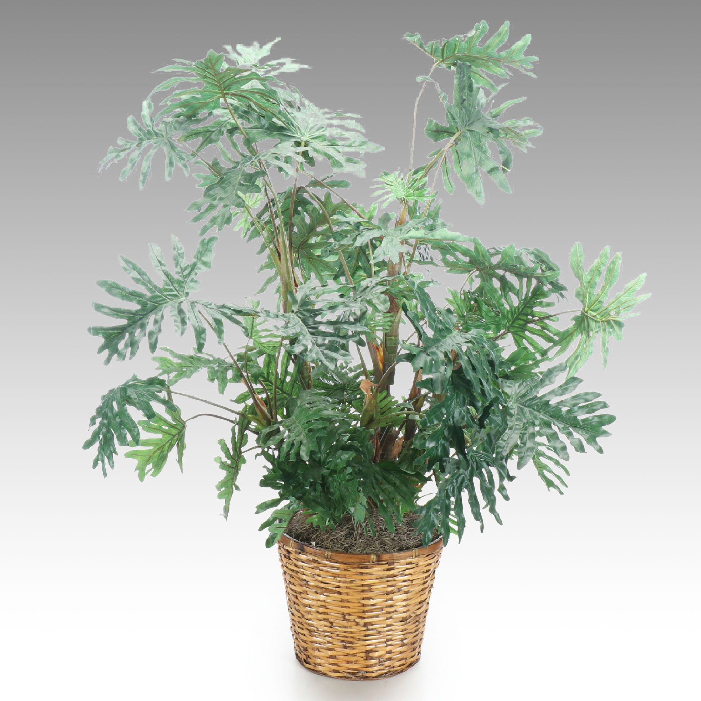 Philodendron Artificial Plant in Wicker Planter
