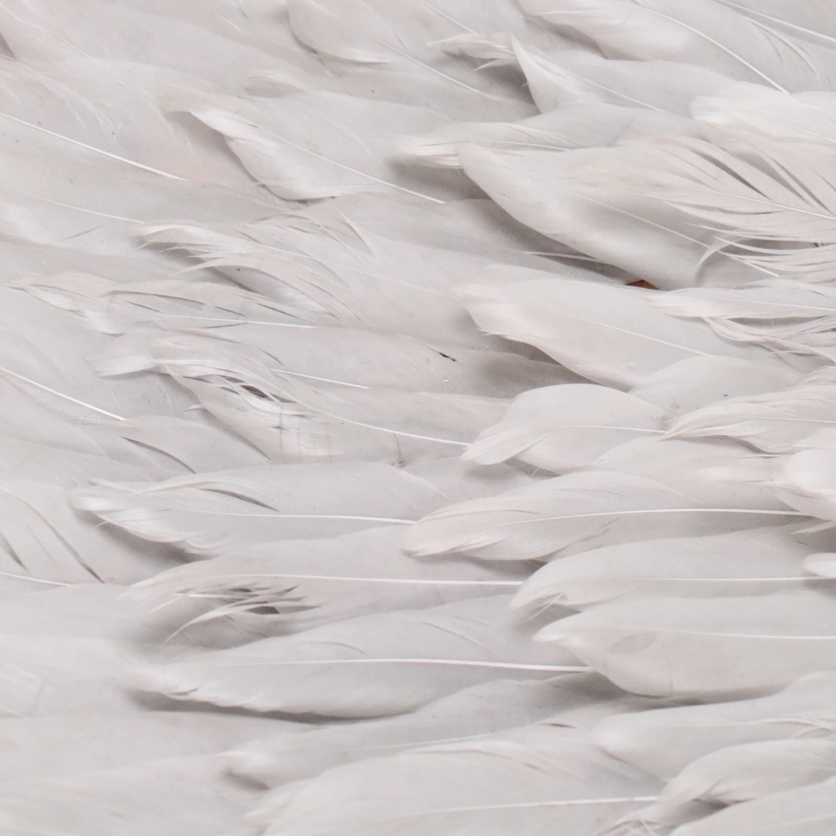 Folk Art Style Woven Occasional Table