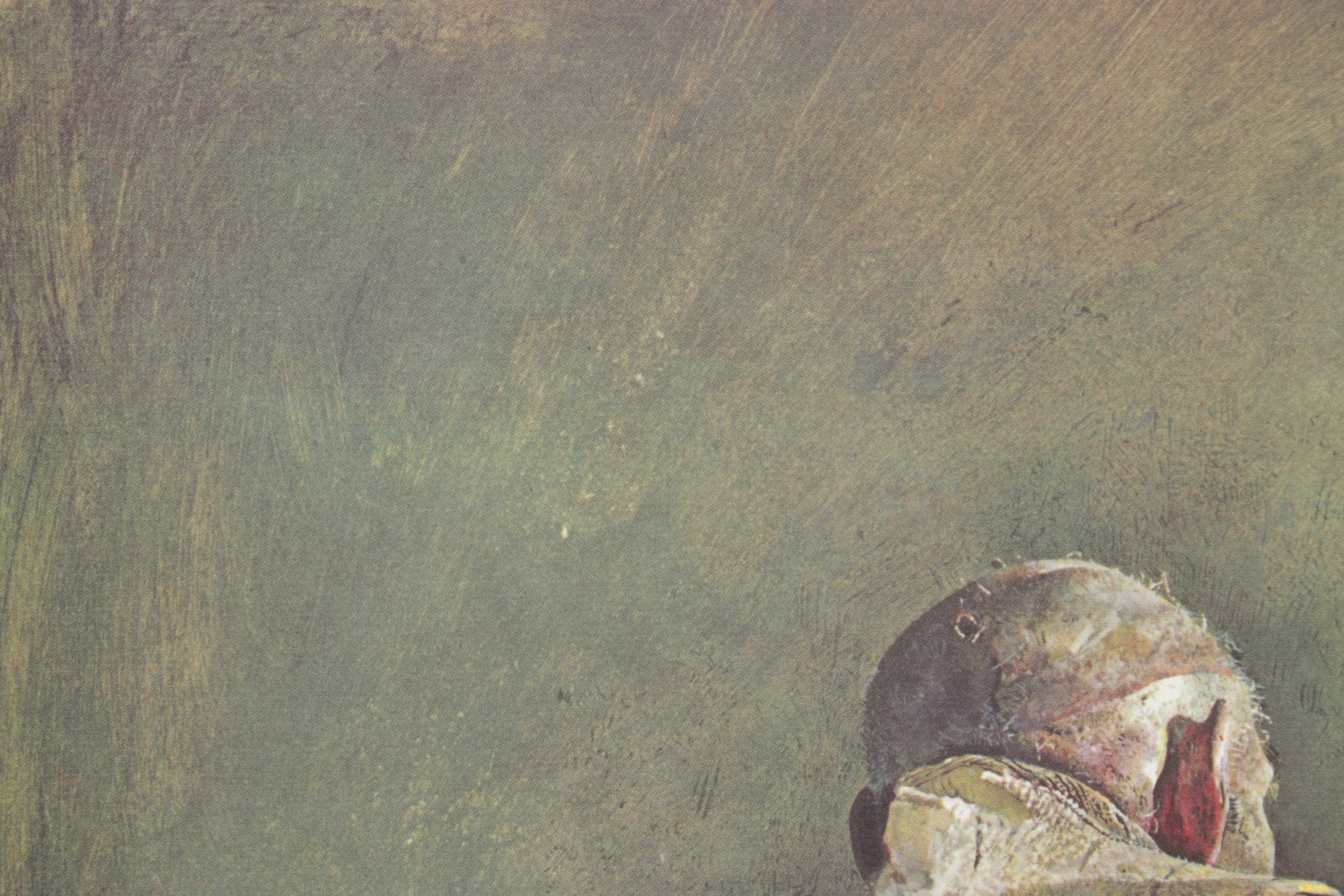 Offset Lithograph after Andrew Wyeth "Spring Sun"