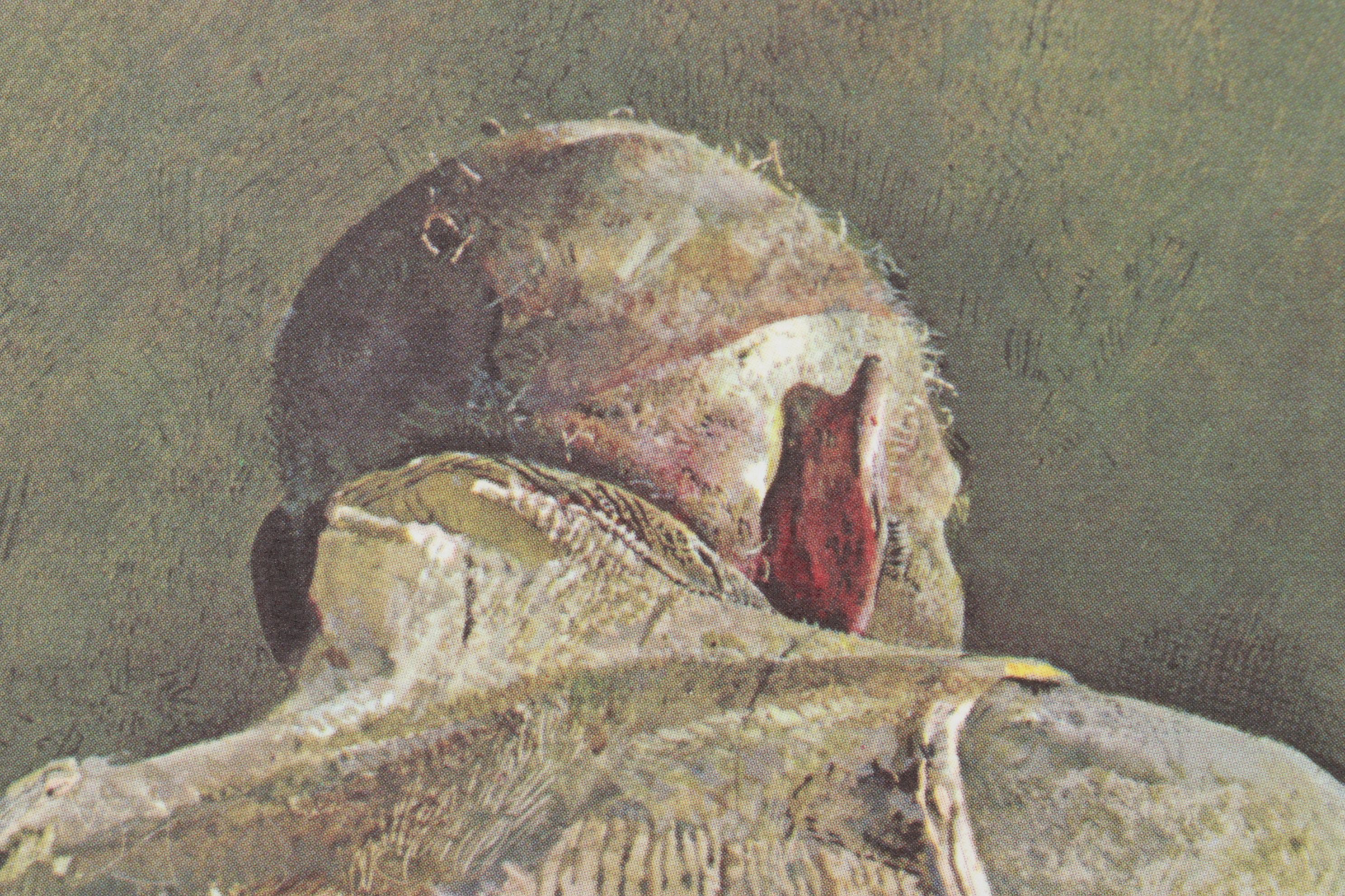 Offset Lithograph after Andrew Wyeth "Spring Sun"