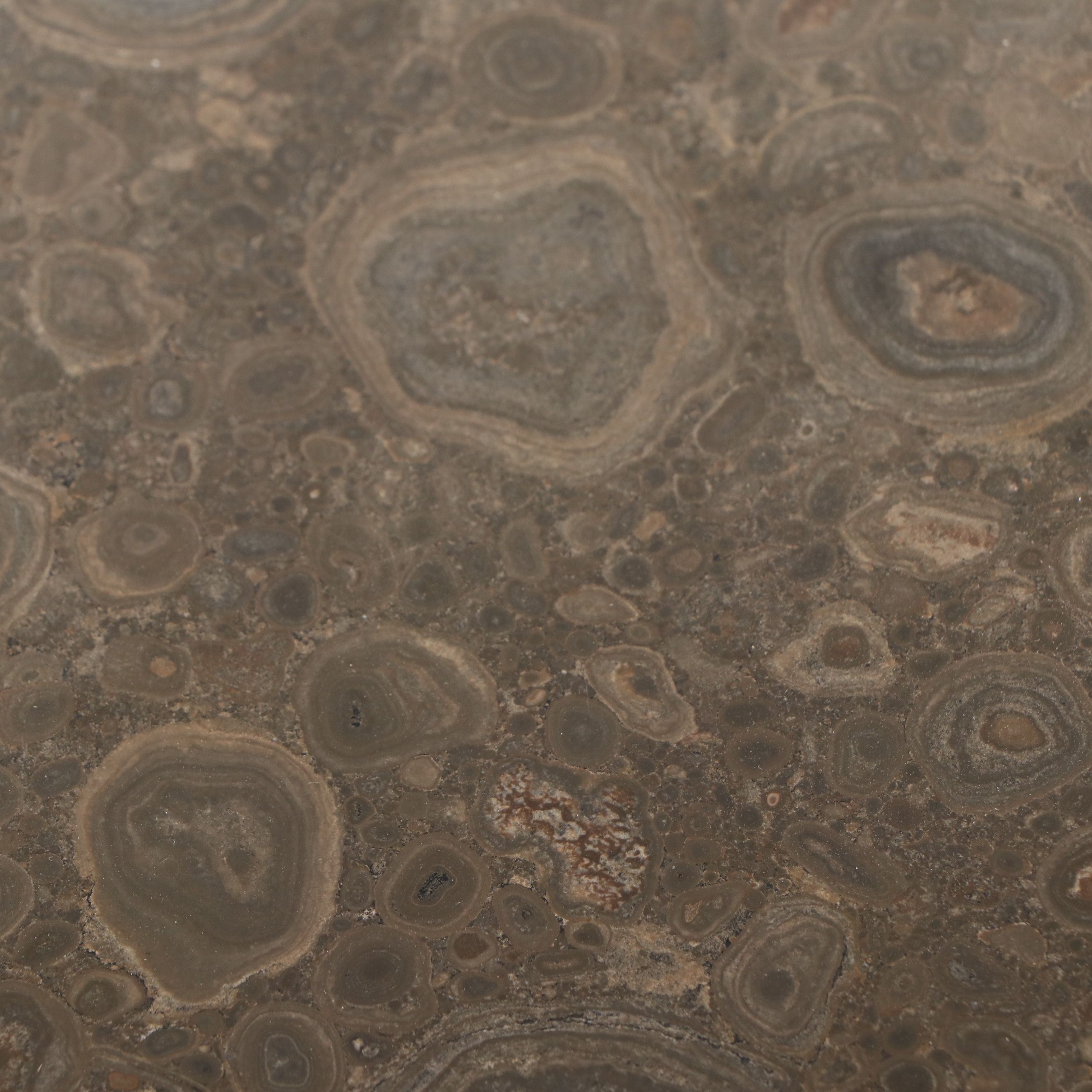Pair of Antique Burl Wood Nightstands