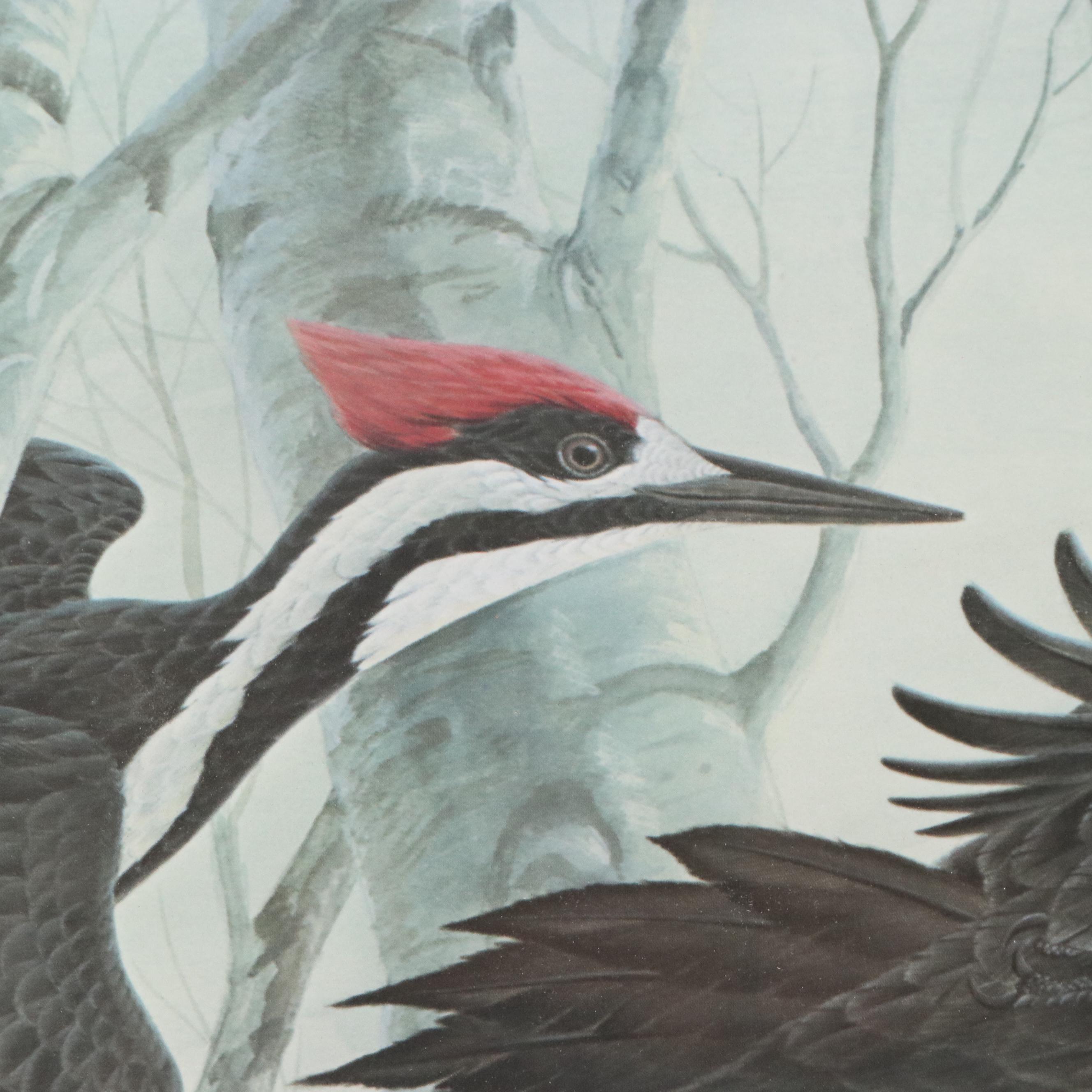 John Ruthven Offset Lithograph "Pileated Woodpeckers," Late 20th Century