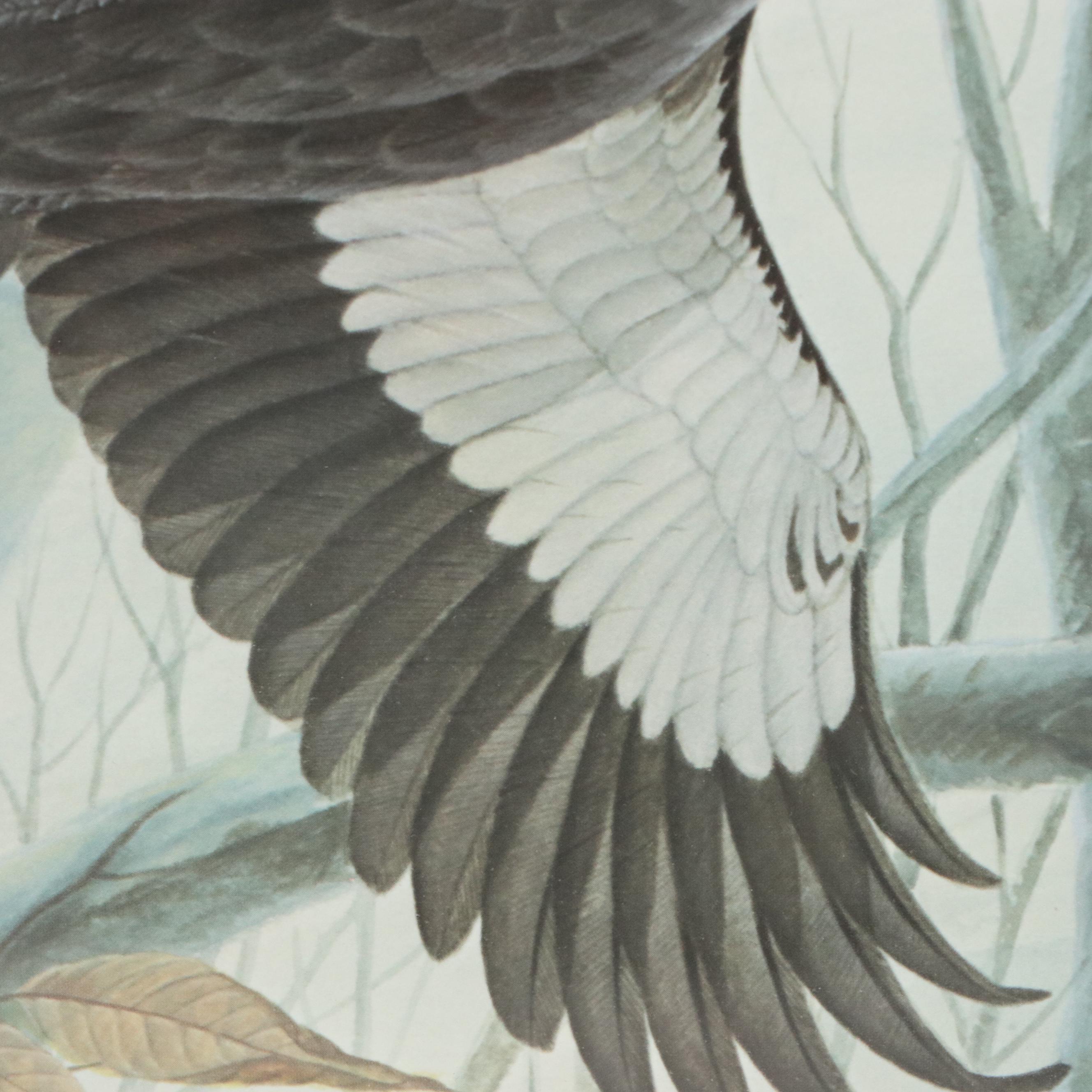 John Ruthven Offset Lithograph "Pileated Woodpeckers," Late 20th Century