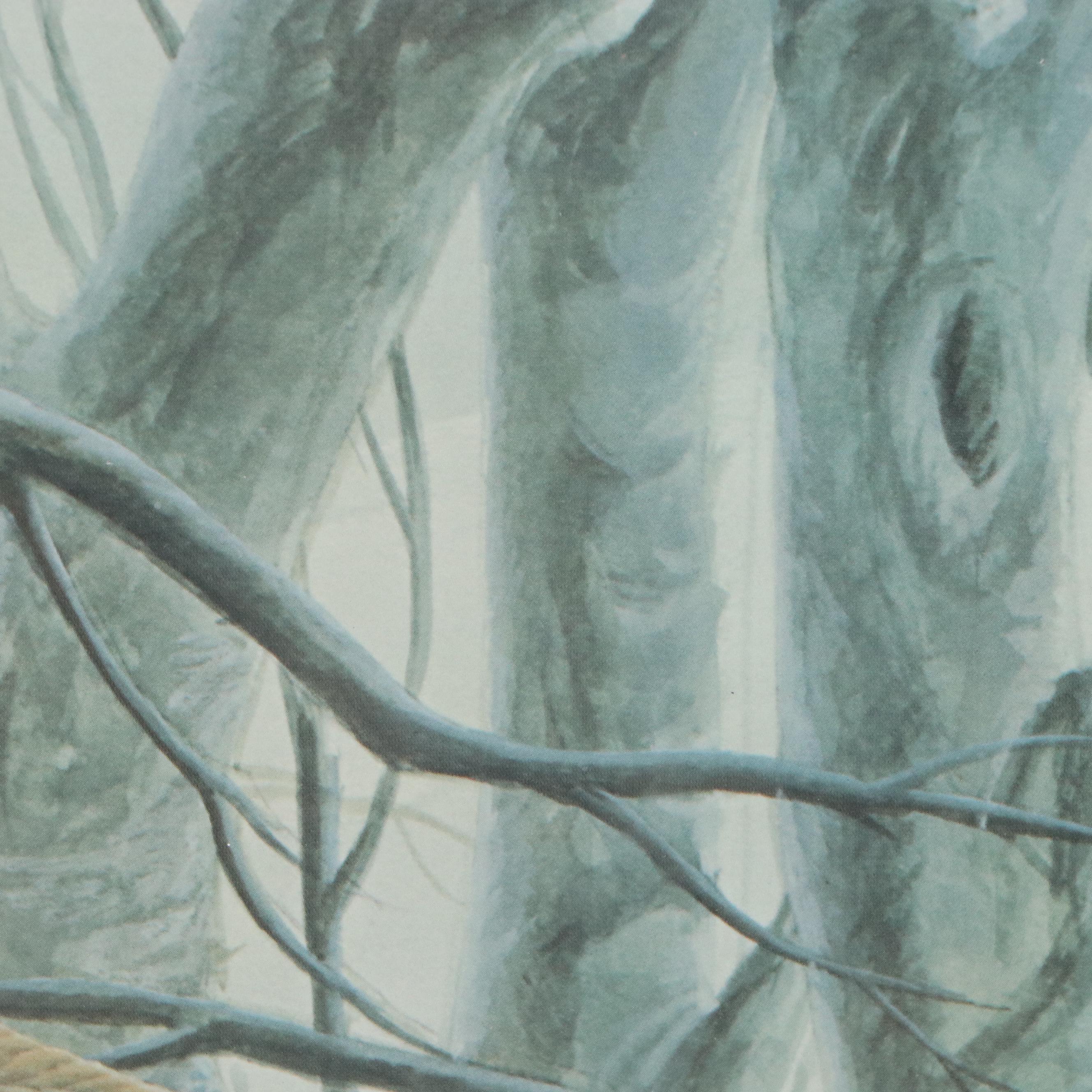 John Ruthven Offset Lithograph "Pileated Woodpeckers," Late 20th Century