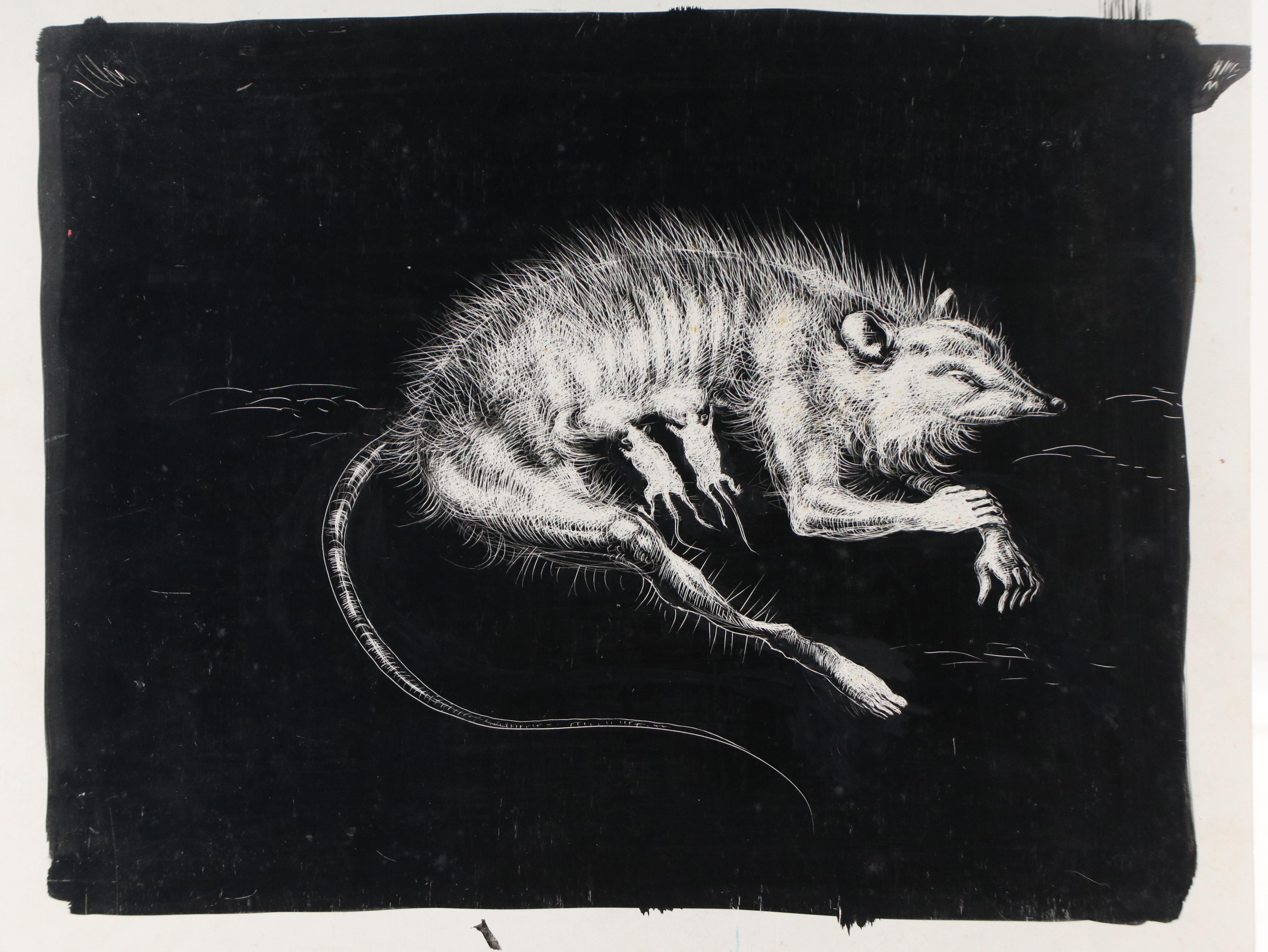 Harvey Shepard Sgraffito Drawing of Nursing Mother Rat with Human Limbs, 20th C.