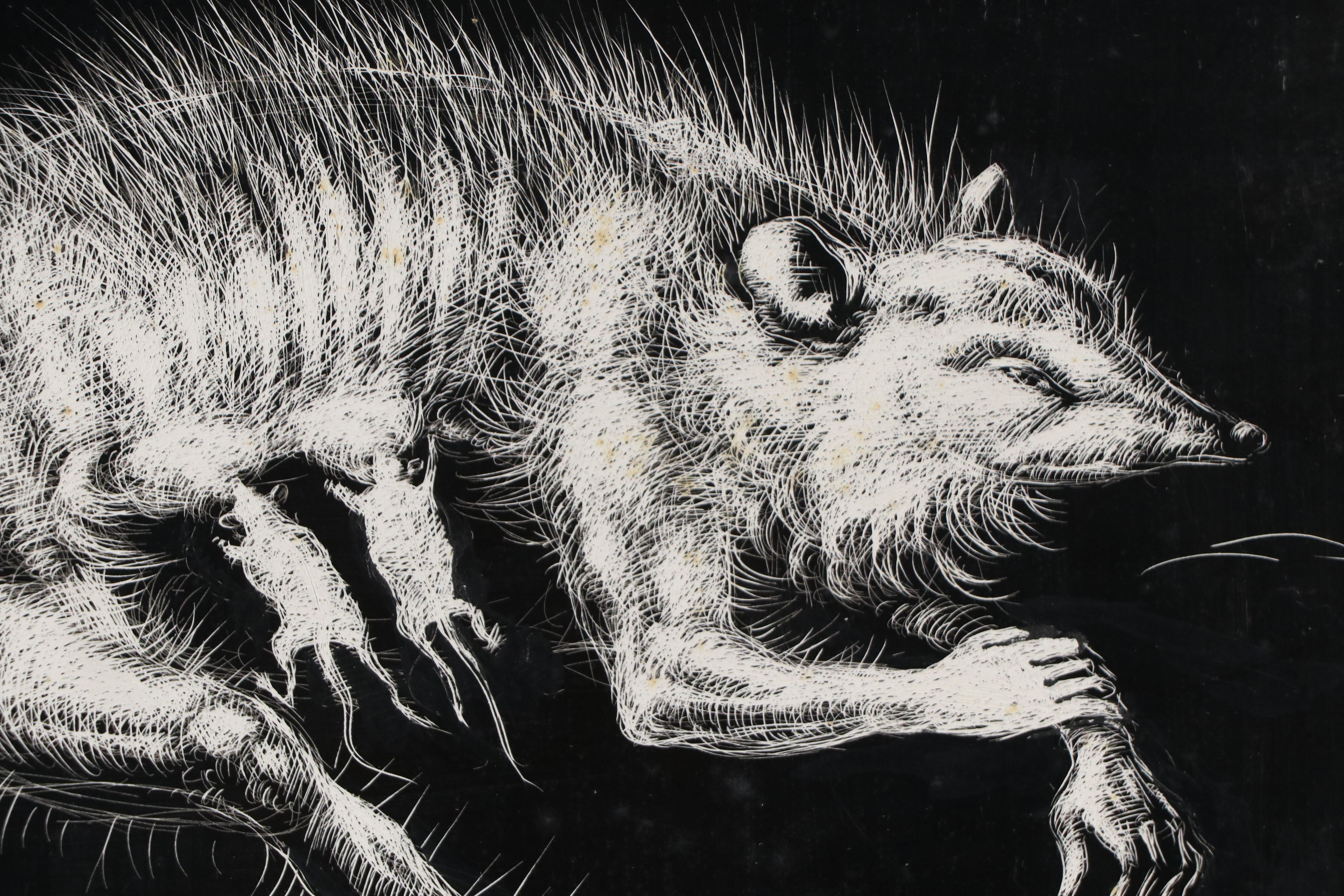 Harvey Shepard Sgraffito Drawing of Nursing Mother Rat with Human Limbs, 20th C.