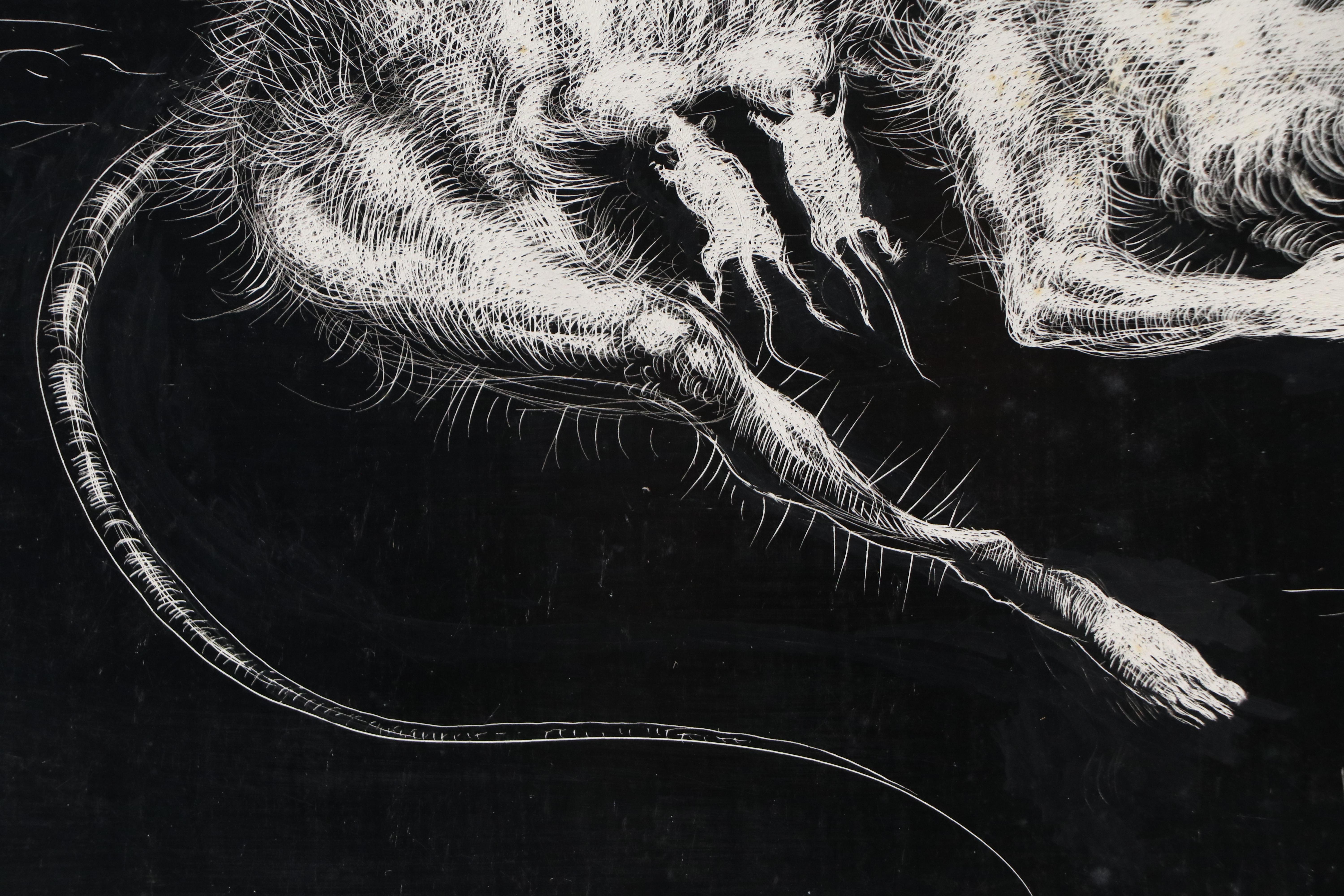Harvey Shepard Sgraffito Drawing of Nursing Mother Rat with Human Limbs, 20th C.