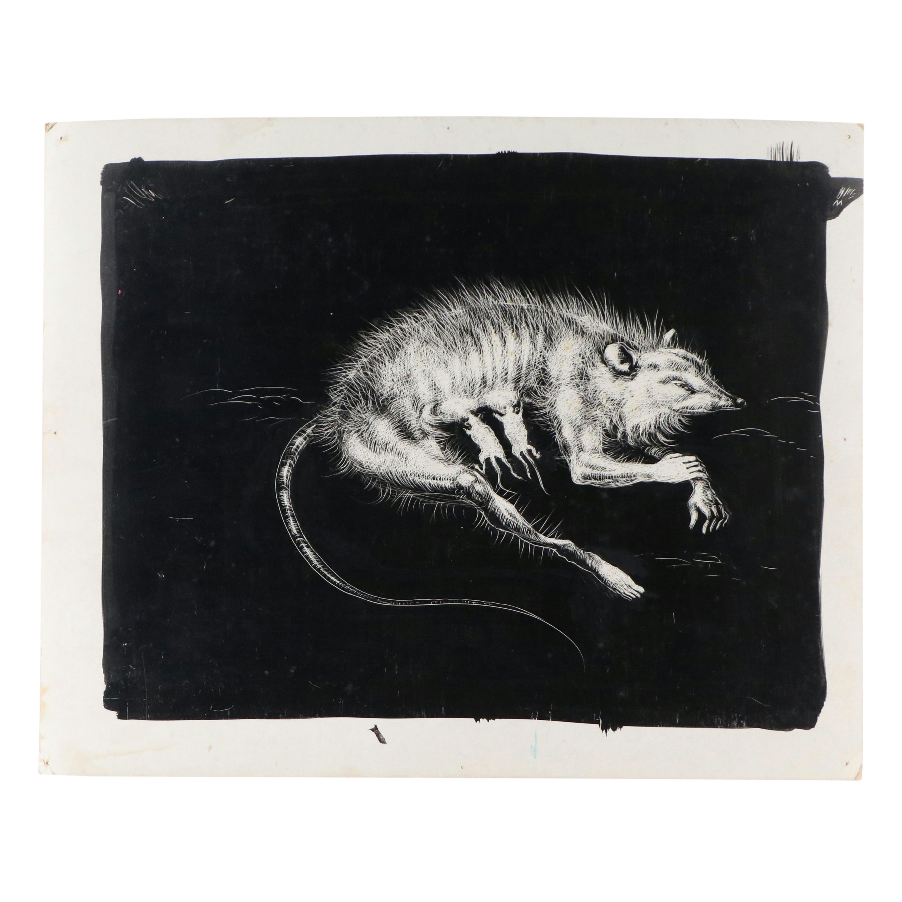 Harvey Shepard Sgraffito Drawing of Nursing Mother Rat with Human Limbs, 20th C.