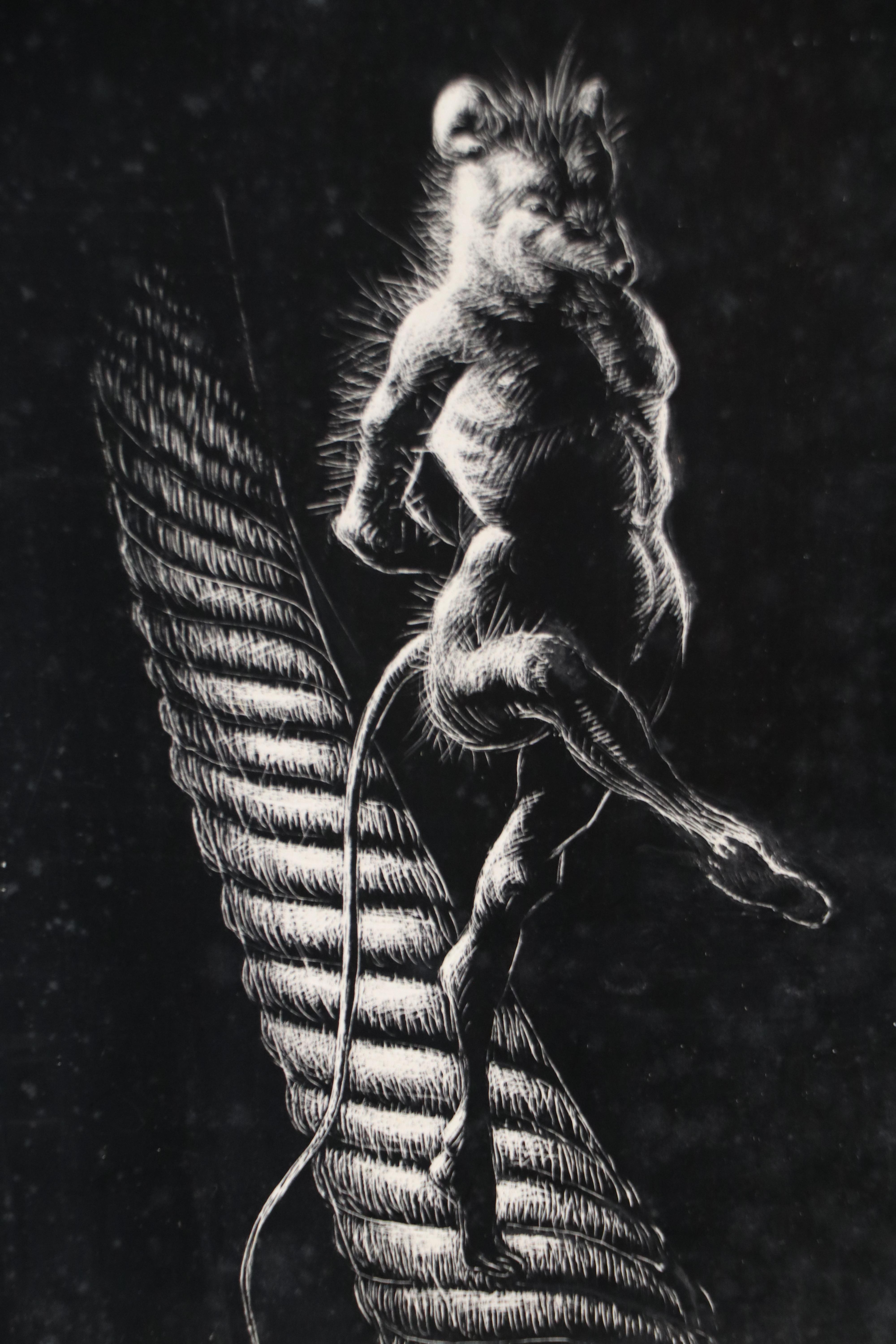 Harvey Shepard Sgraffito Drawing "Rat I - Pierre," Mid-20th Century