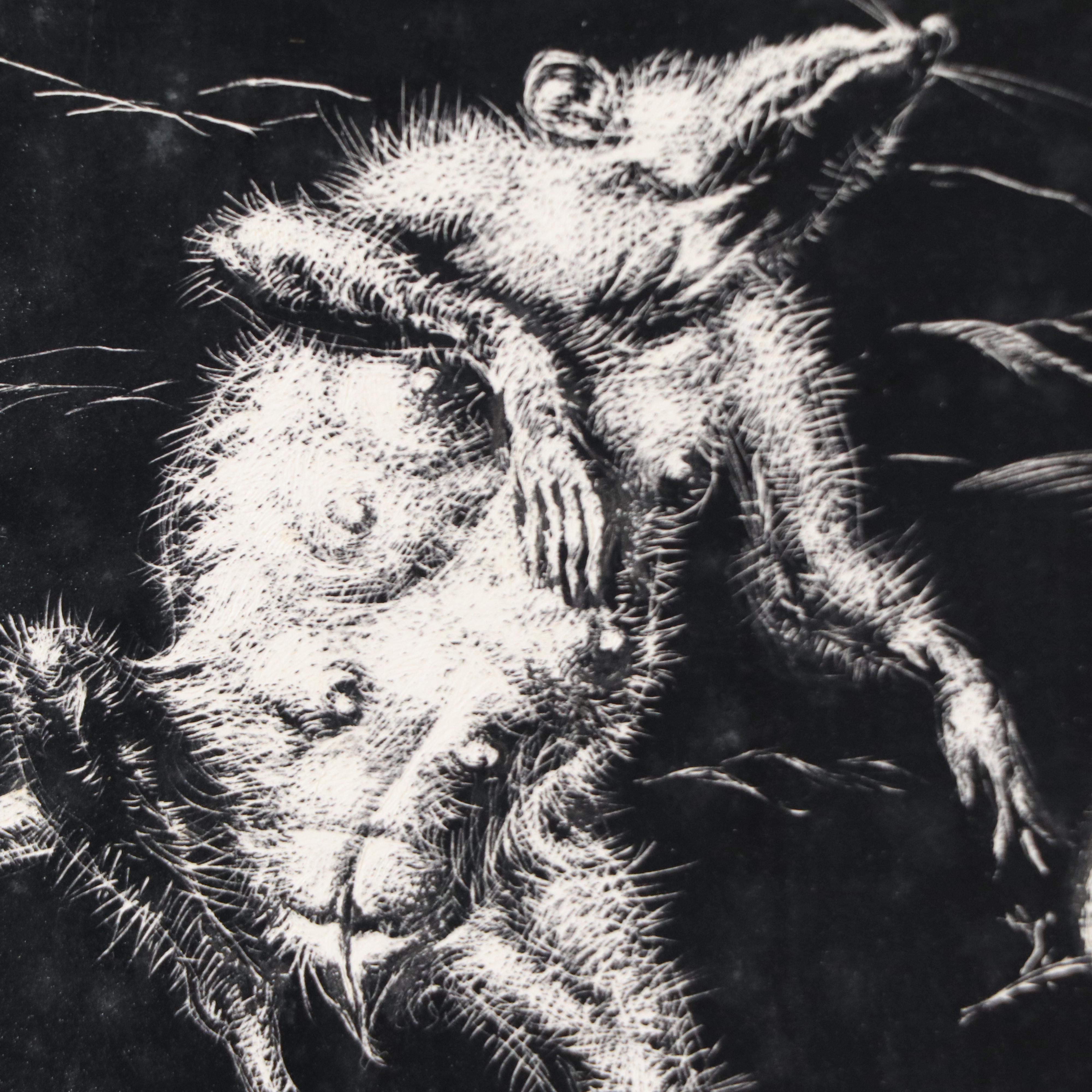 Harvey Shepard Sgraffito Drawing "Rat V - Le Fleur," Mid-20th C.