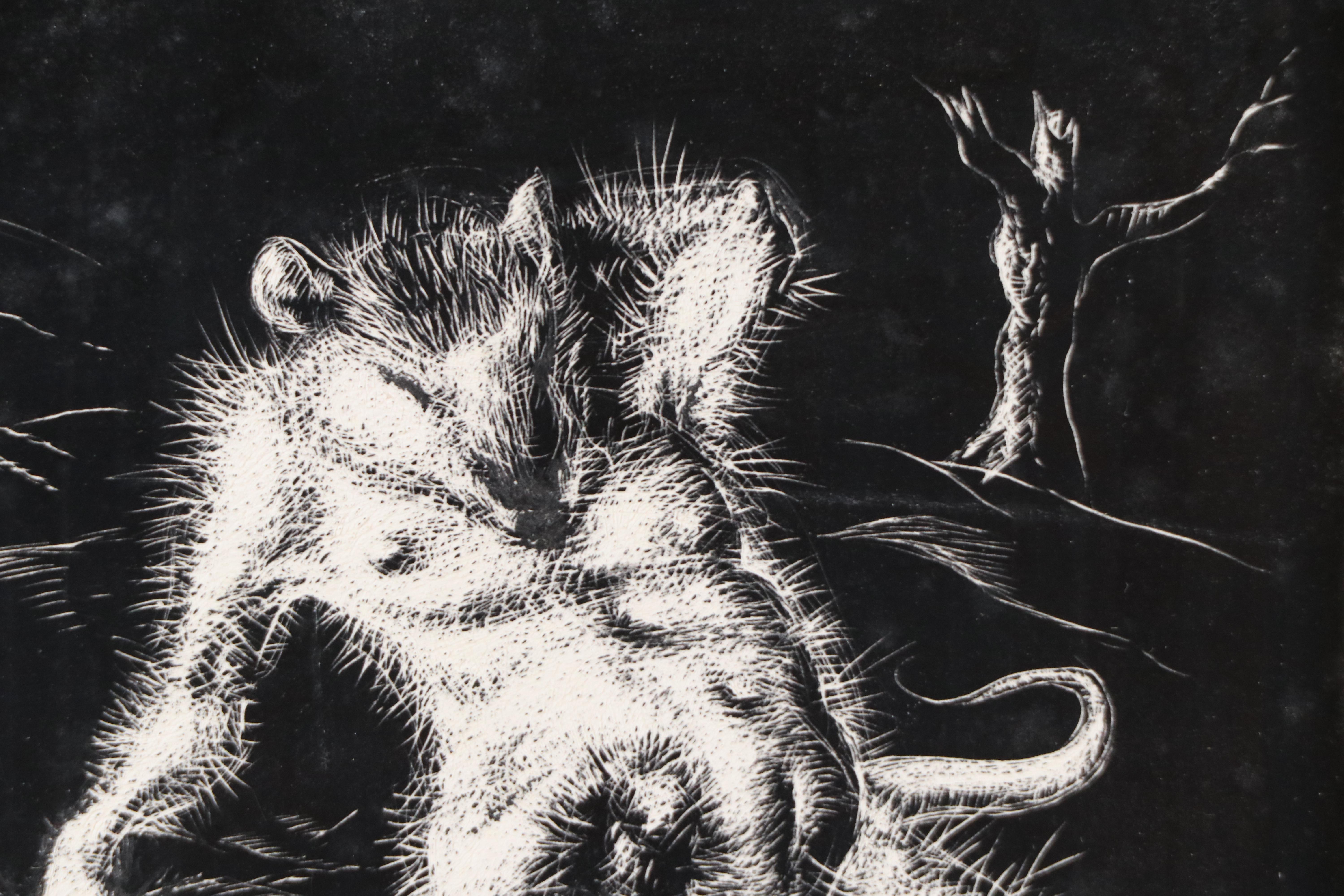 Harvey Shepard Sgraffito Drawing "Rat V - Le Fleur," Mid-20th C.