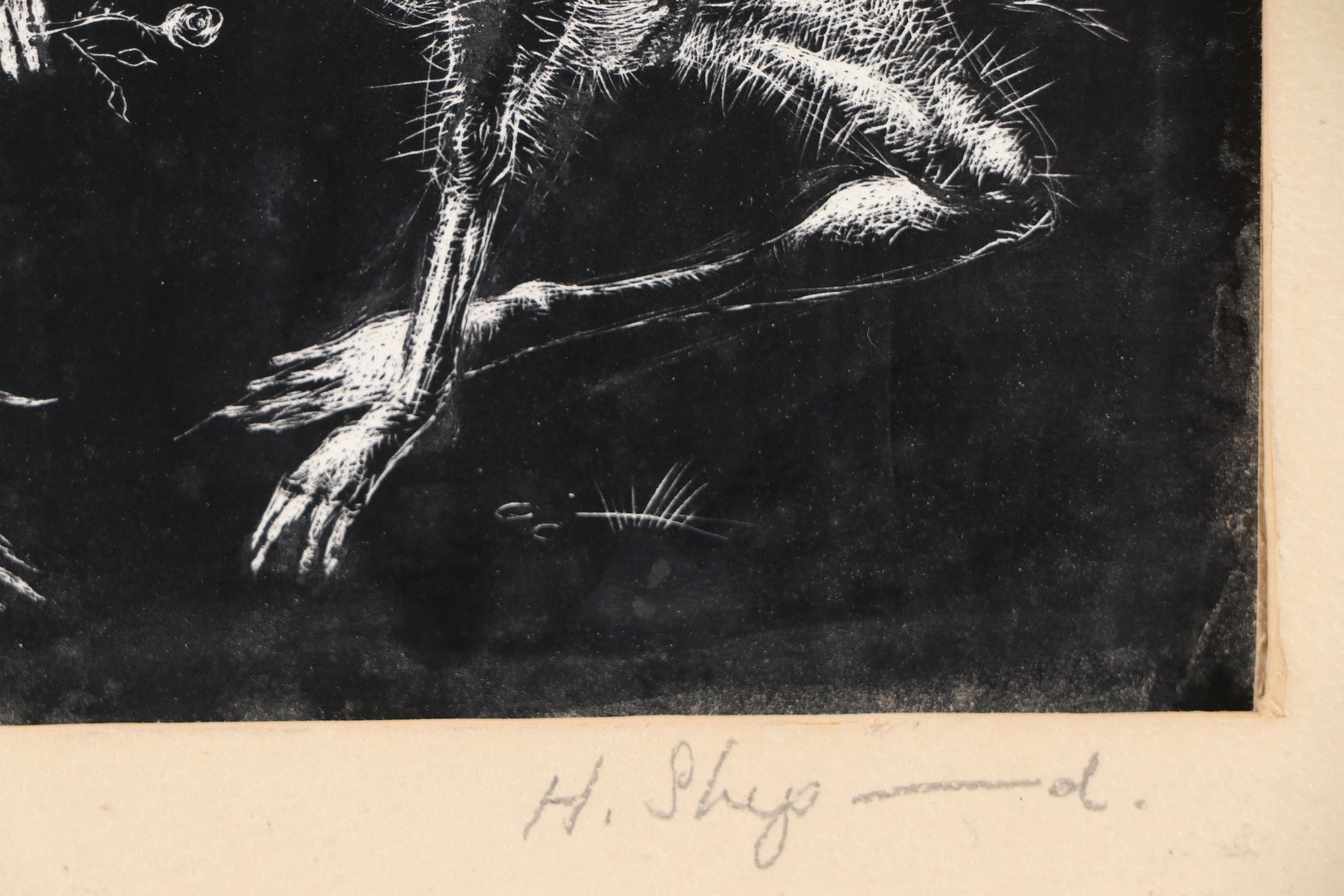 Harvey Shepard Sgraffito Drawing "Rat V - Le Fleur," Mid-20th C.