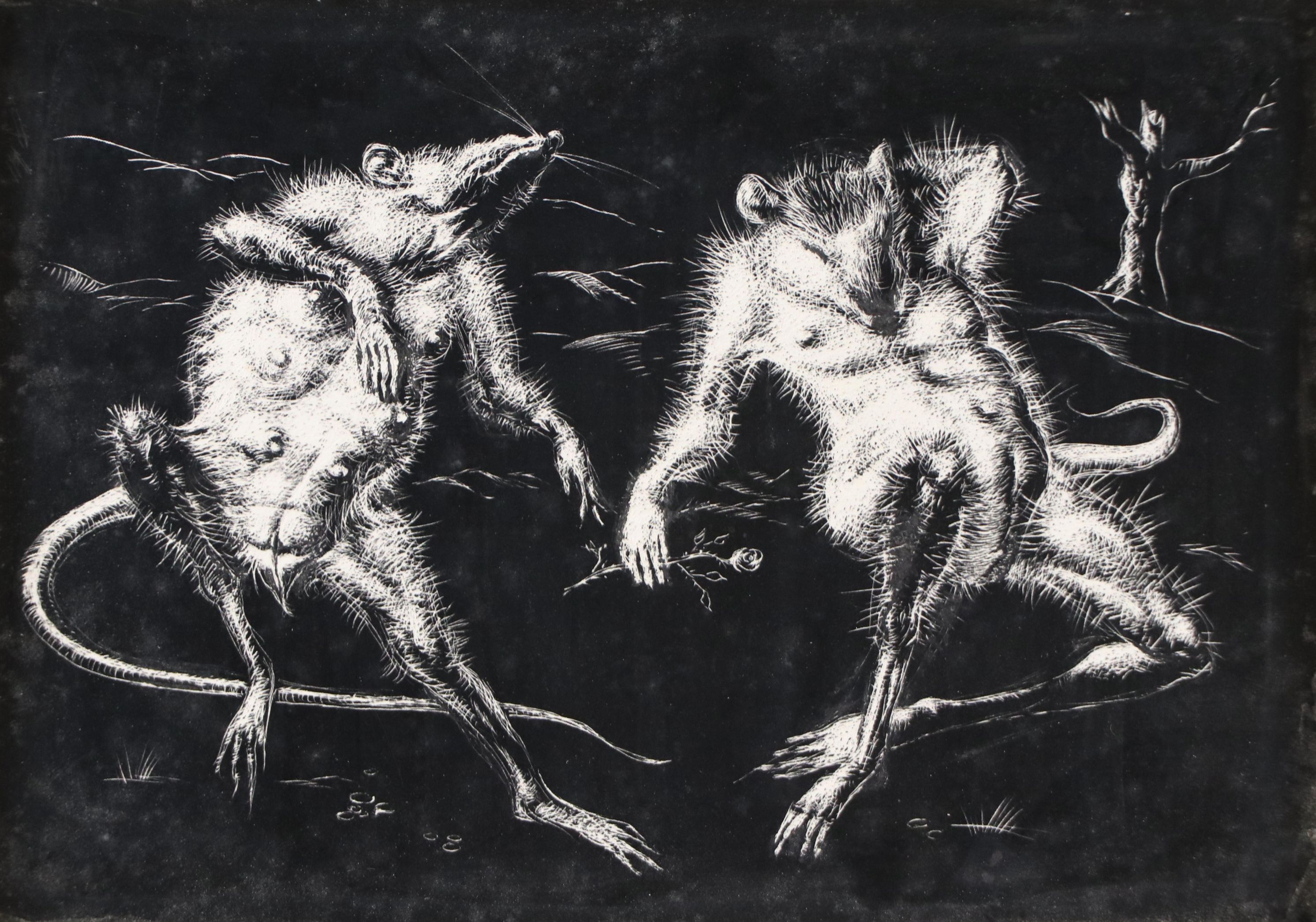 Harvey Shepard Sgraffito Drawing "Rat V - Le Fleur," Mid-20th C.