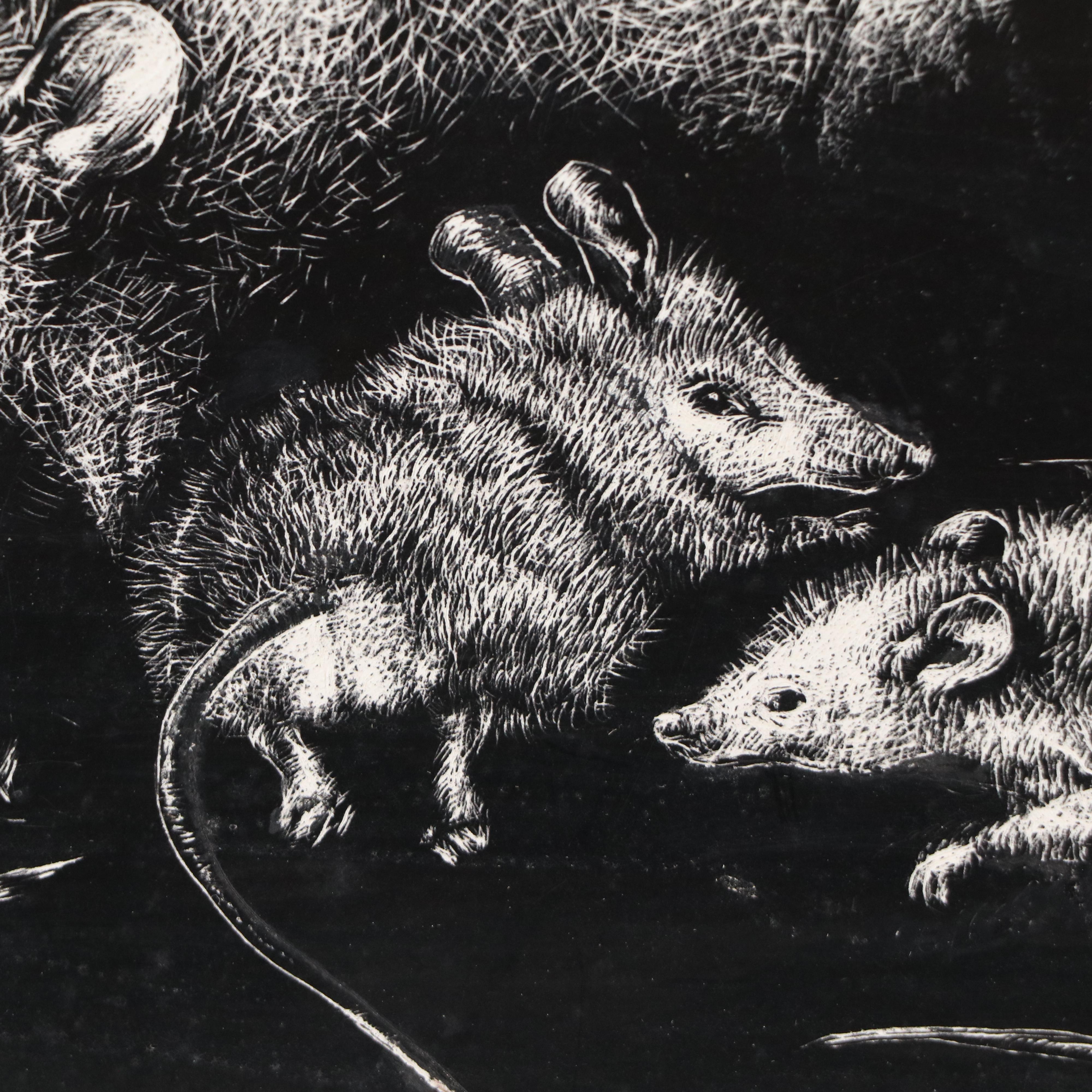 Harvey Shepard Sgraffito Drawing "Rat VI - Maternité," 20th Century