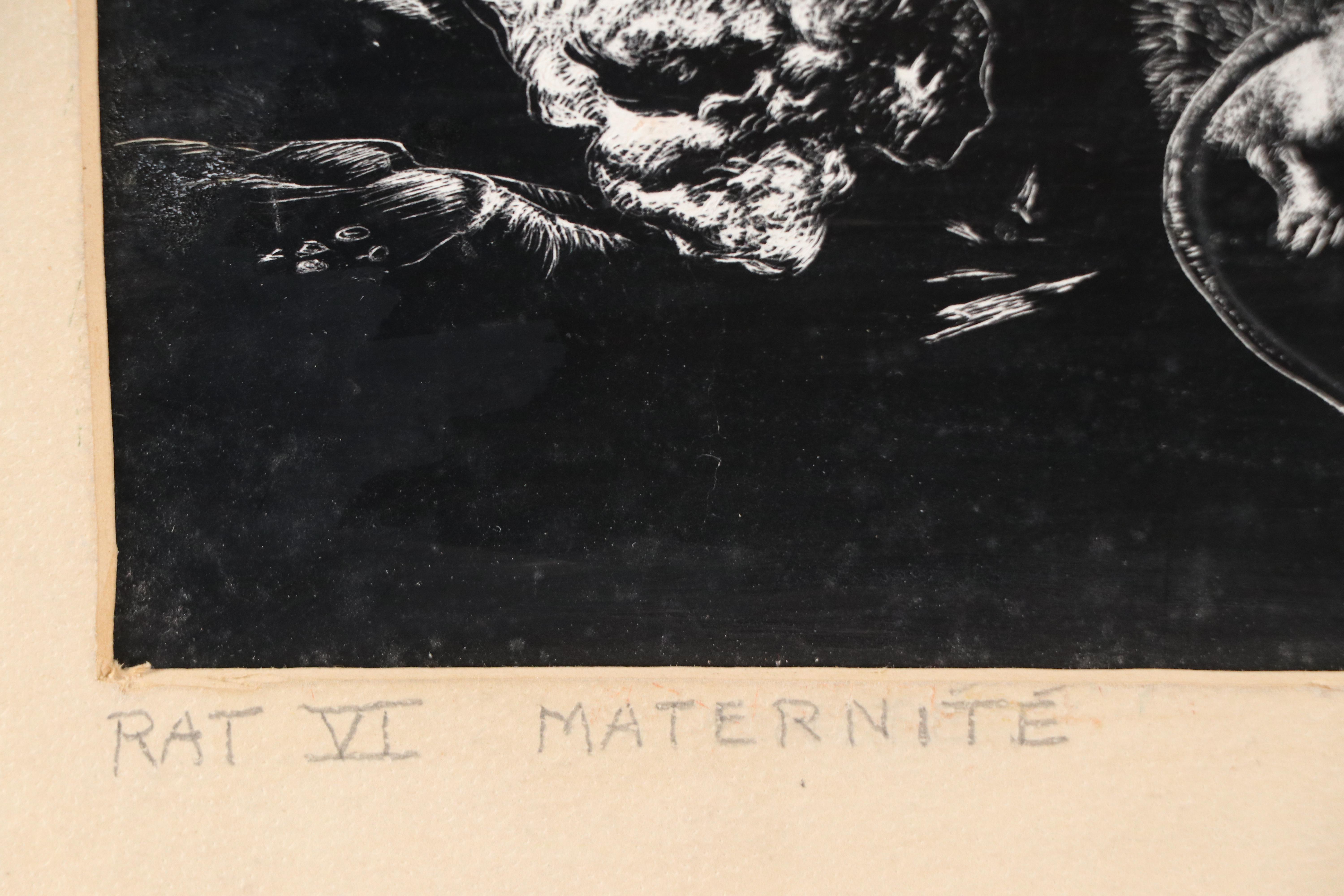 Harvey Shepard Sgraffito Drawing "Rat VI - Maternité," 20th Century
