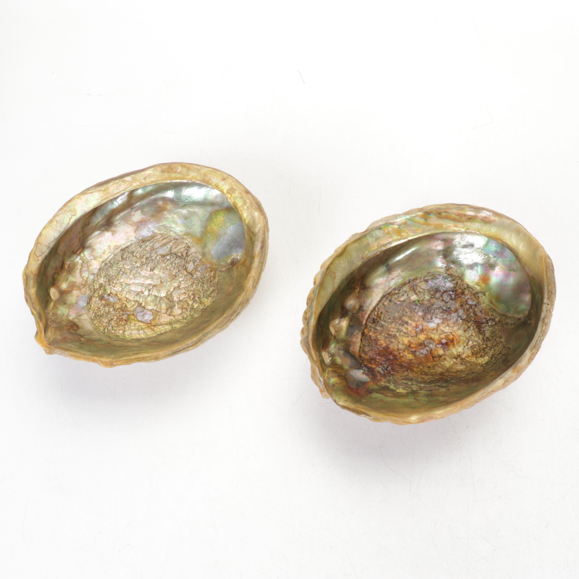 Abalone Shell Bowls with Bread Warmer & More