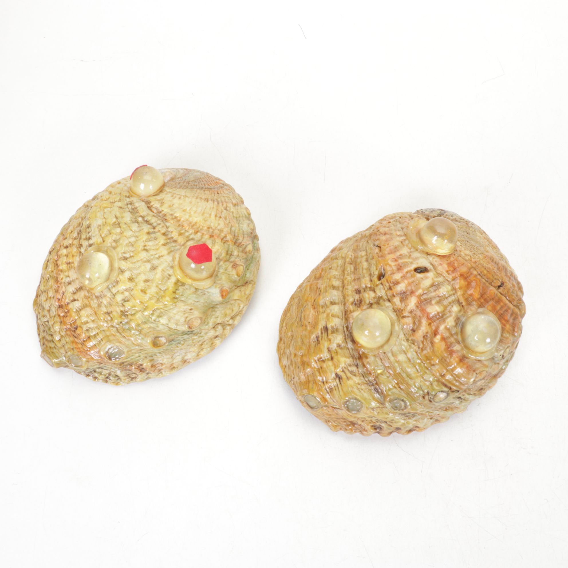 Abalone Shell Bowls with Bread Warmer & More