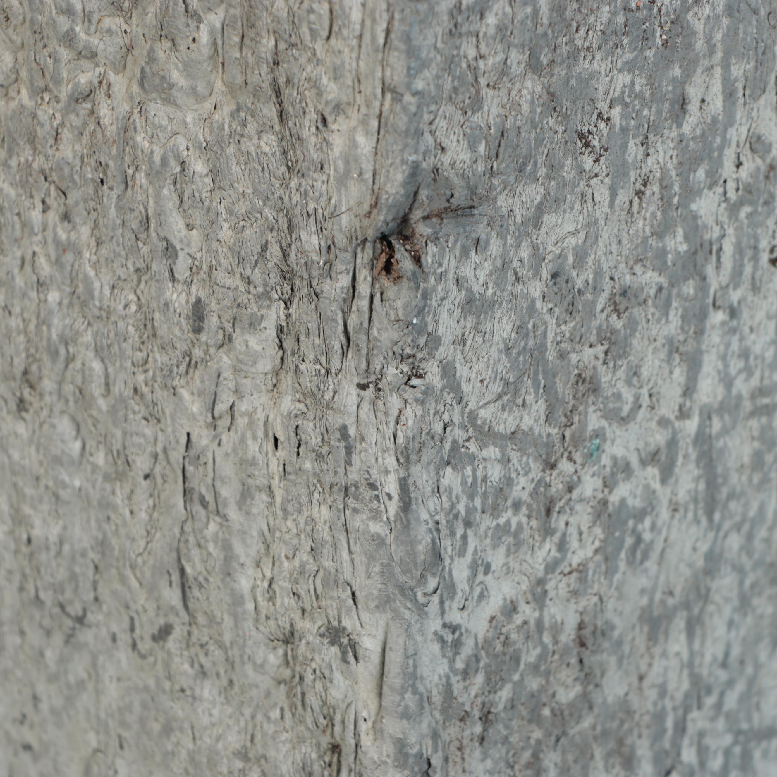 Textured Concrete Rectangular Plinths