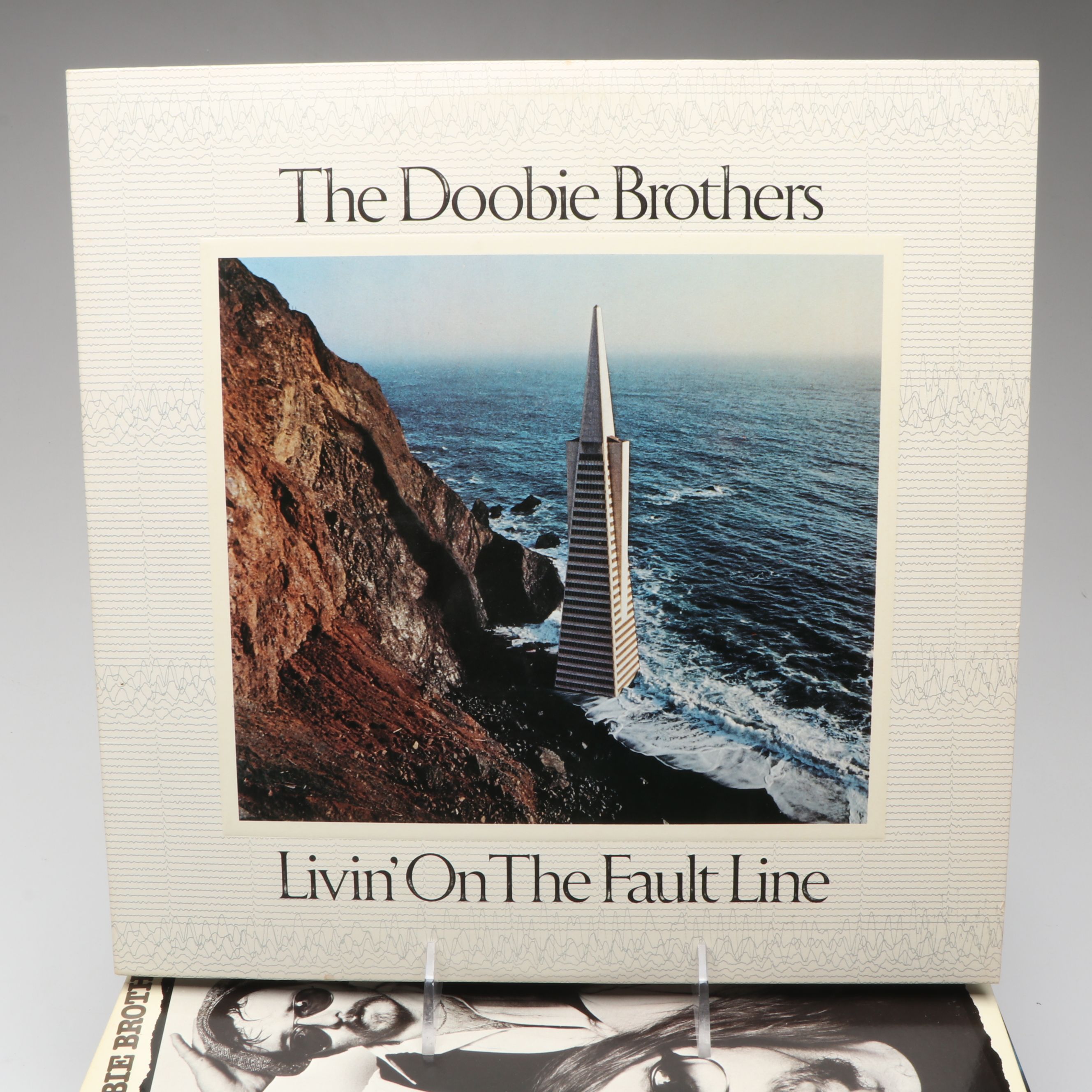 The Doobie Brothers, Journey, Eagles, and More Vinyl Record Albums