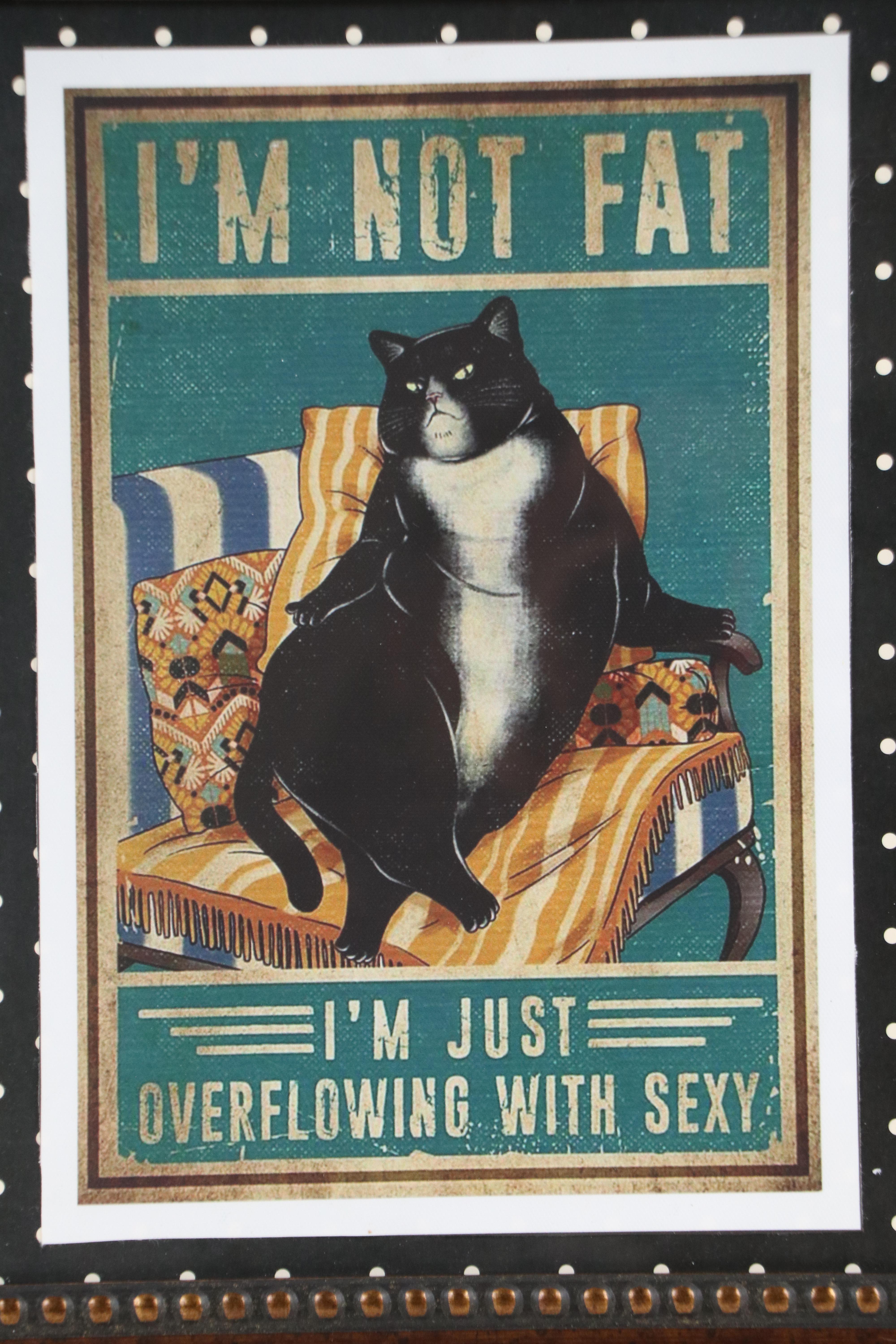 Giclée Canvas Print of Seated Cat, 21st Century