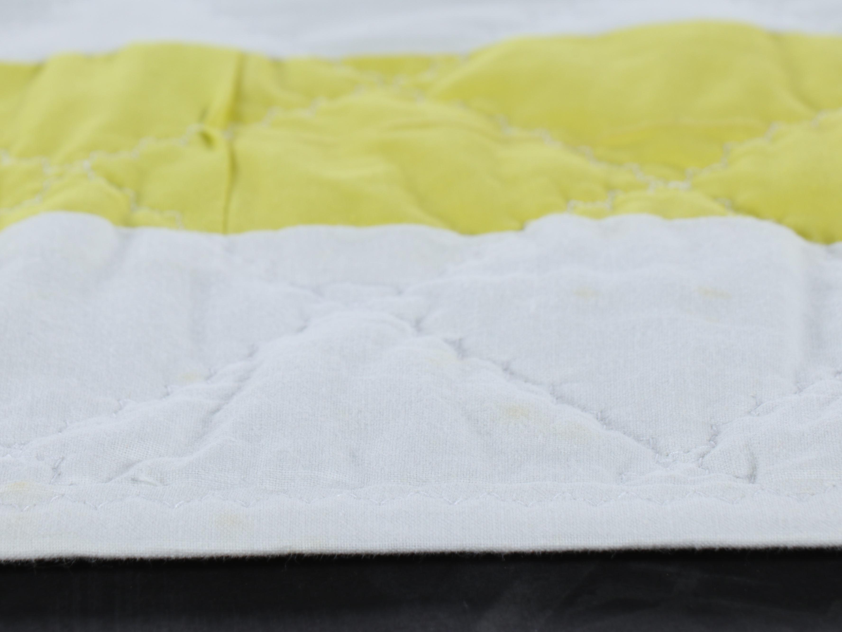 Hand-Pieced "Sunbonnet Sue" and Iris Blooms Appliquéd Quilts