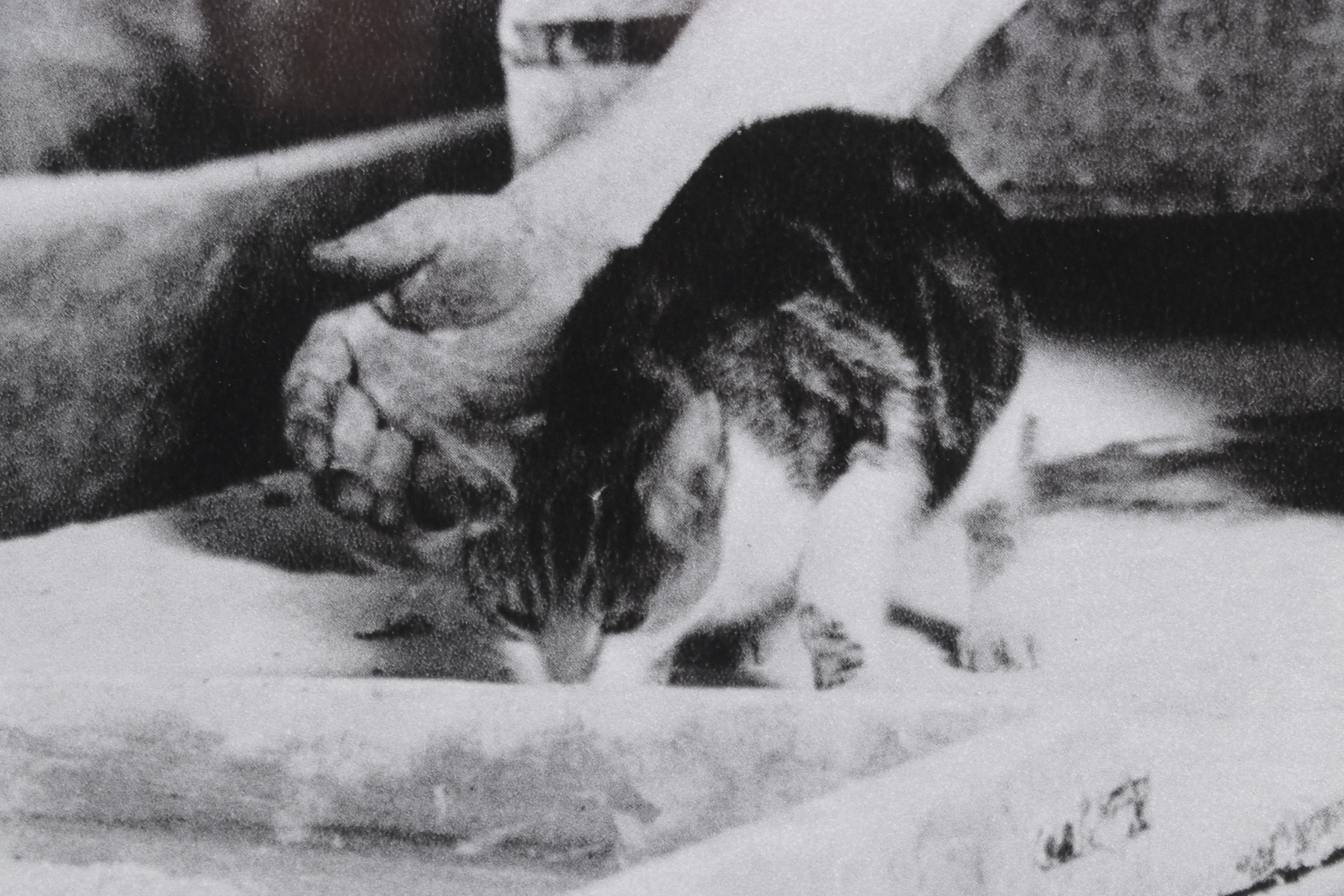 Photogravure "Old Cellar Bakery" After Lewis Hine