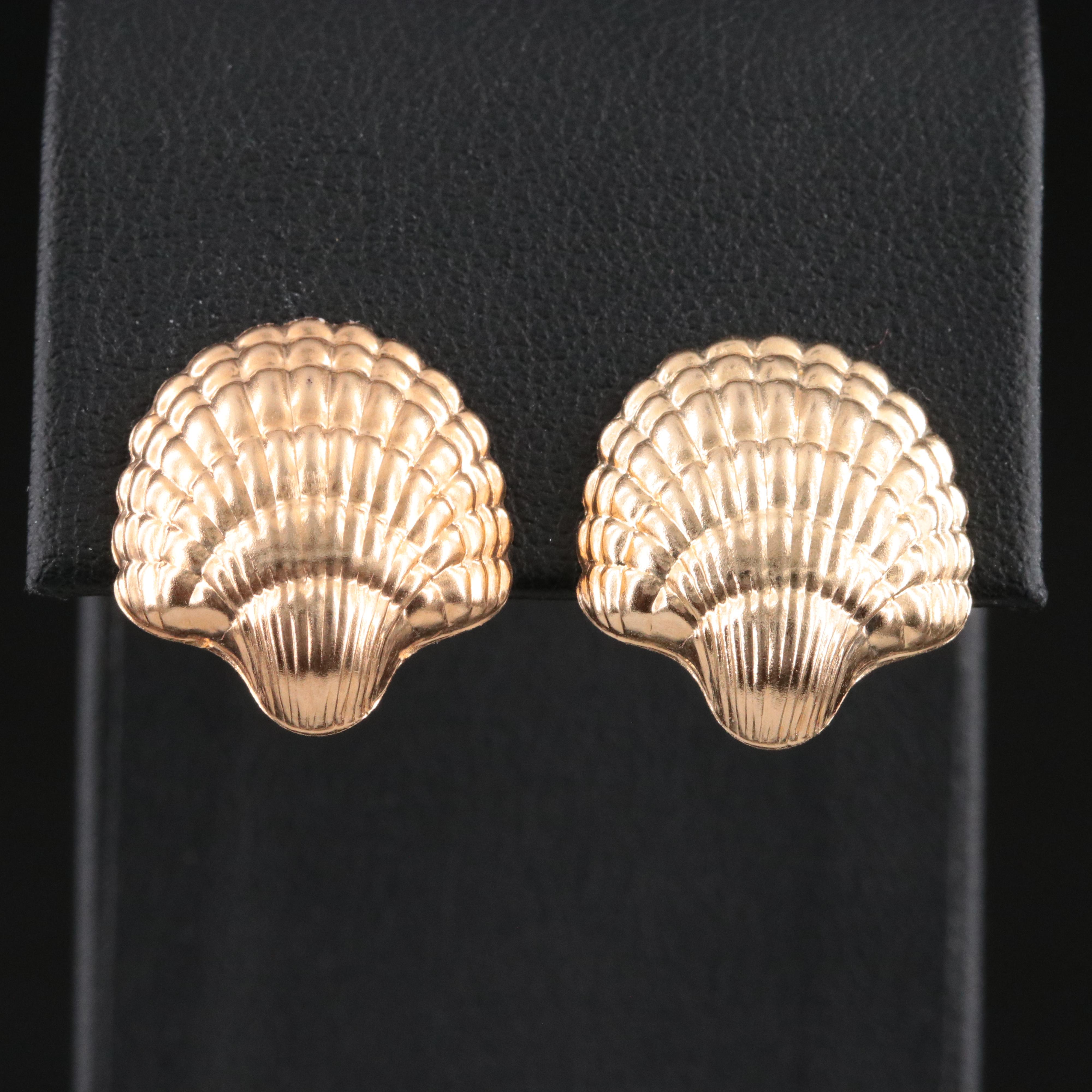 14K Shell Earrings