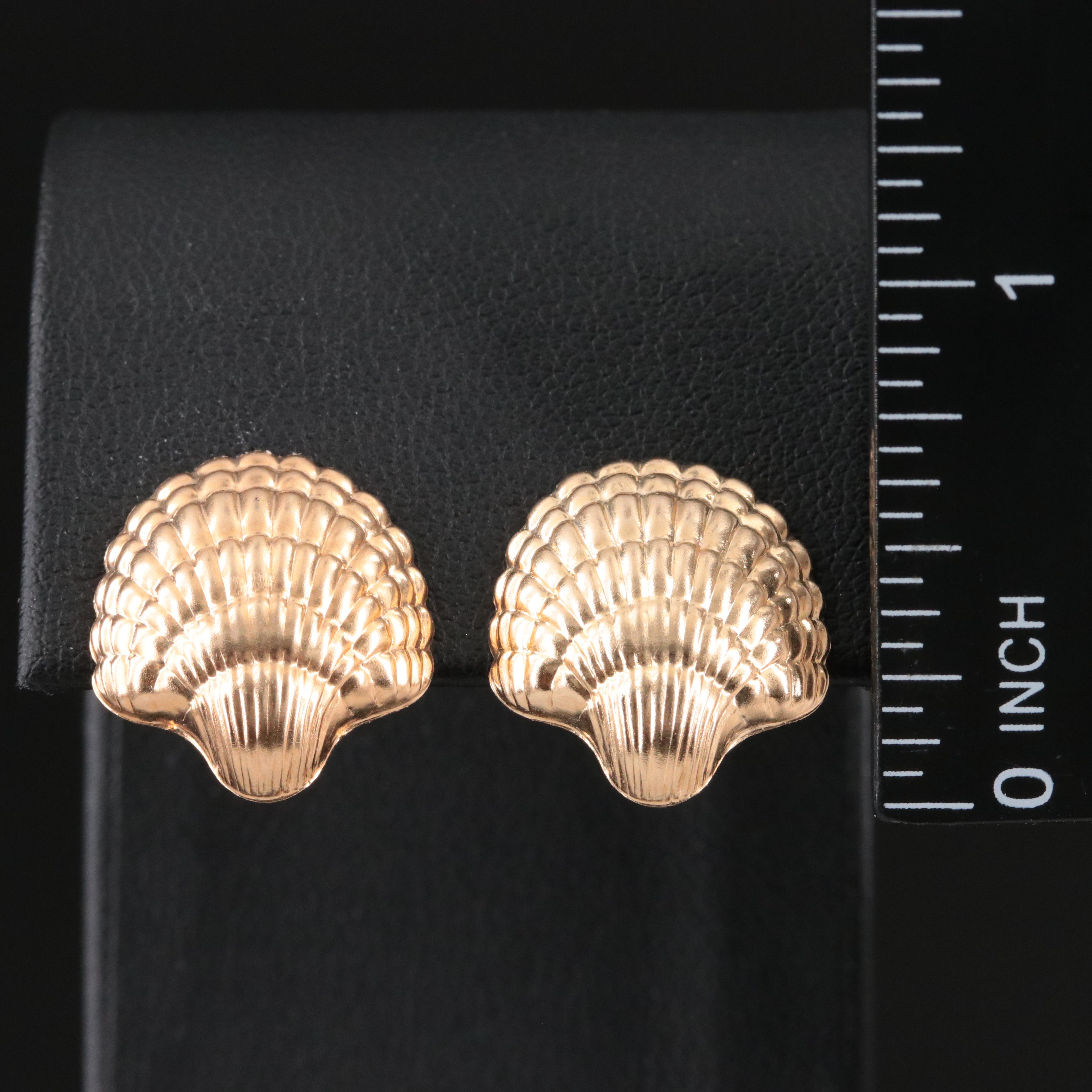 14K Shell Earrings