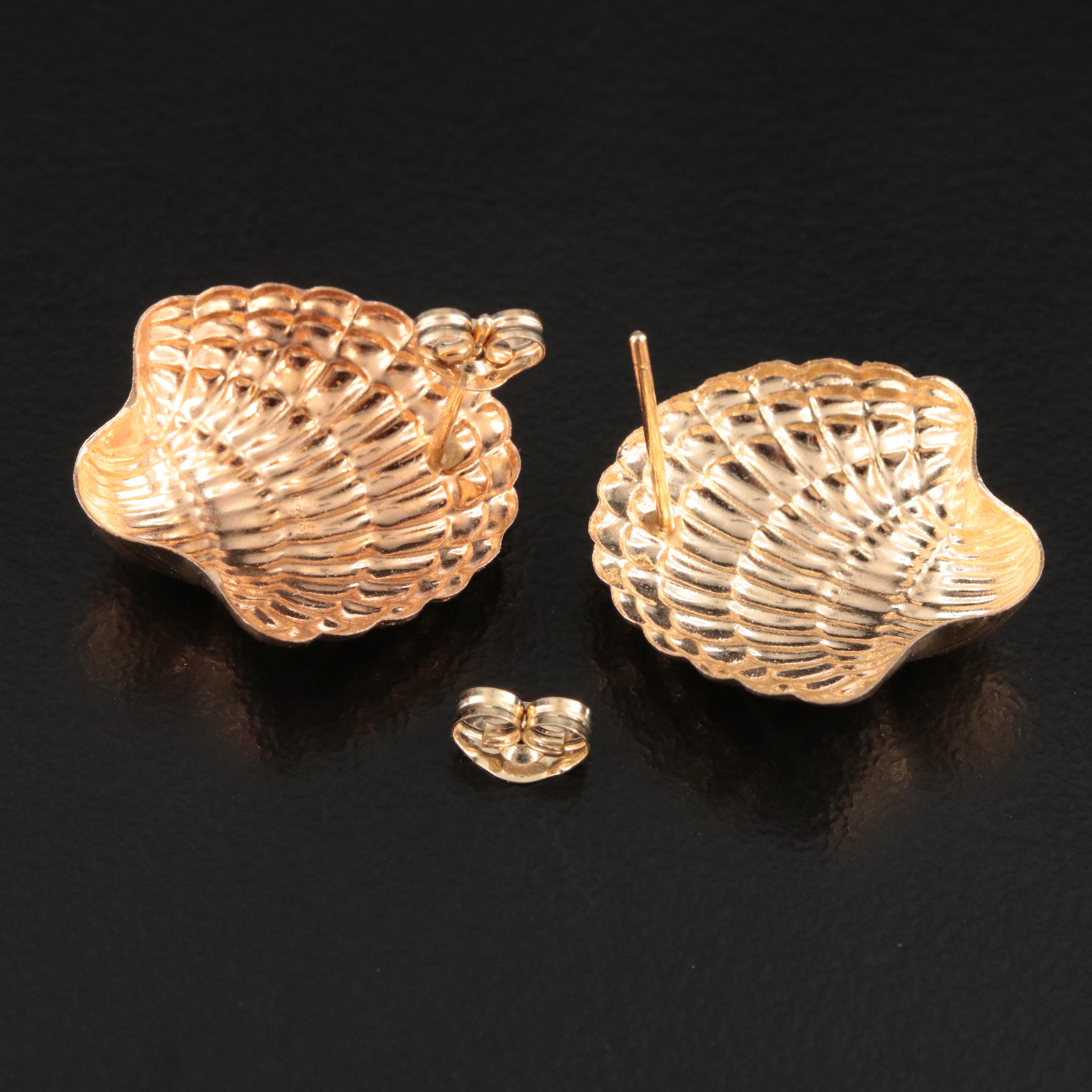 14K Shell Earrings