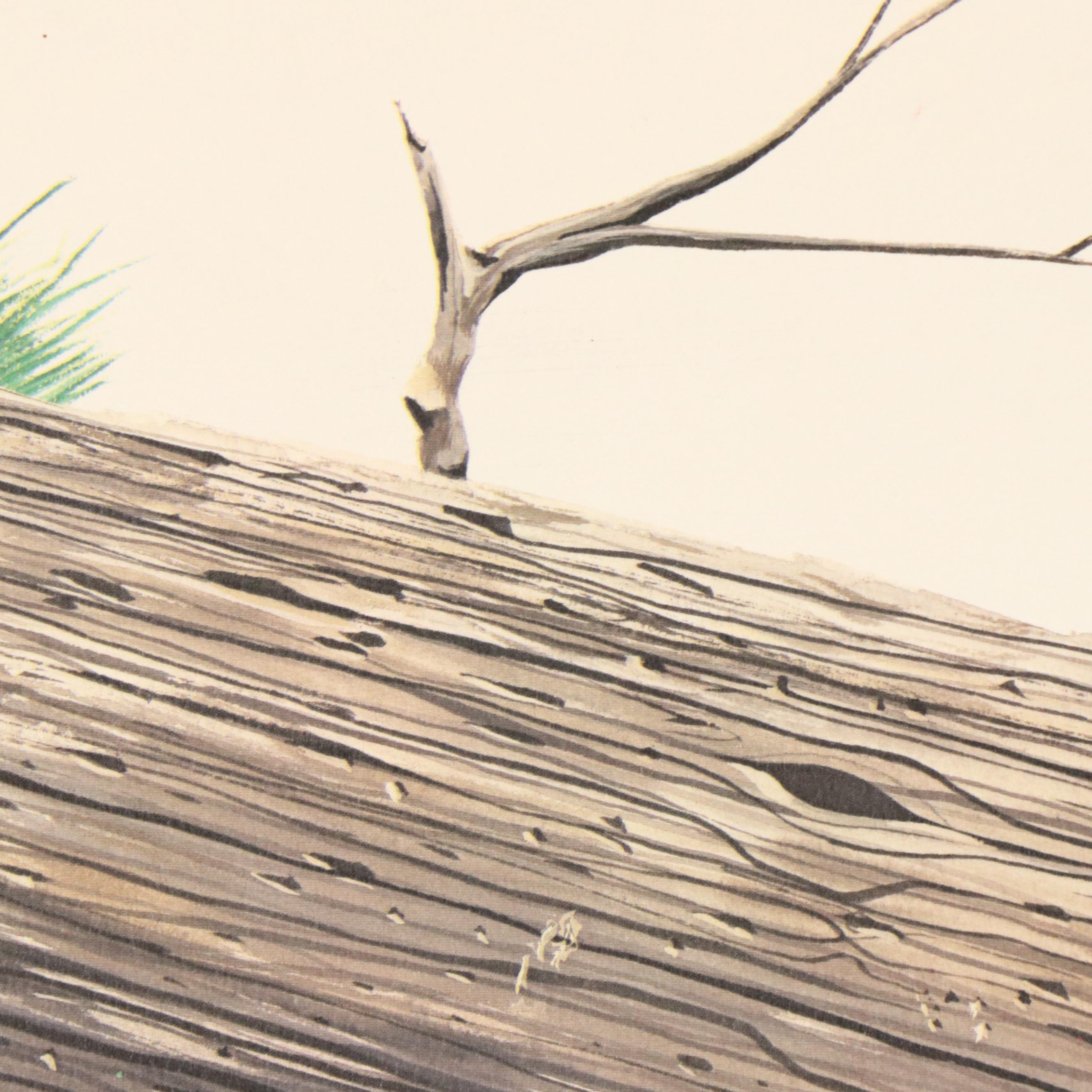 After Gene Gray Offset Lithograph "Baby Mallard," Circa 1976