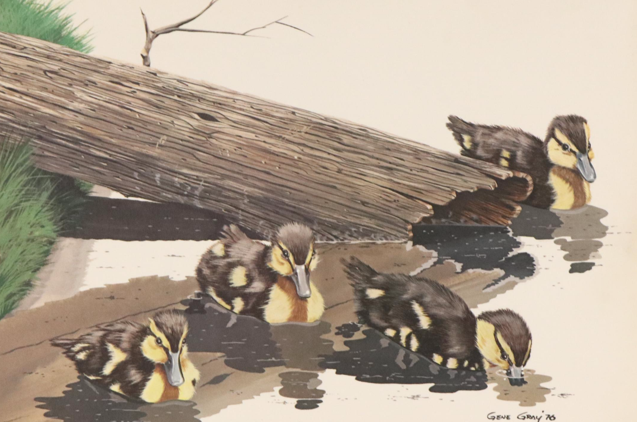 After Gene Gray Offset Lithograph "Baby Mallard," Circa 1976