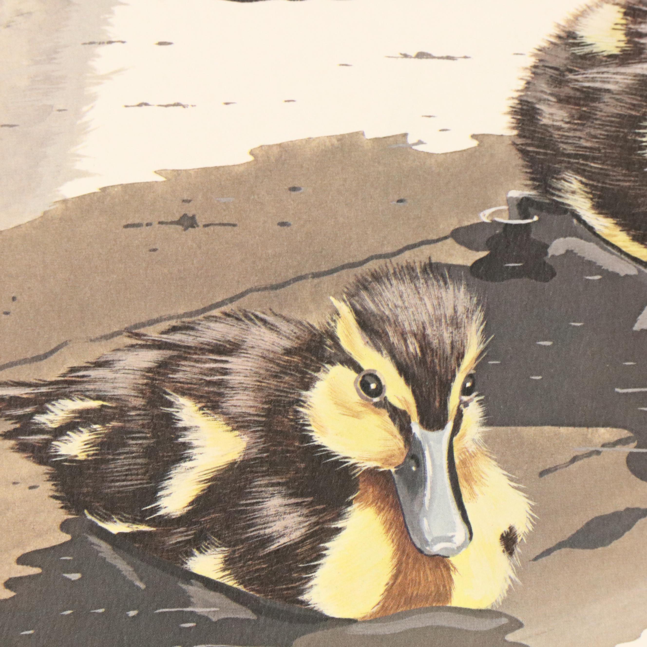 After Gene Gray Offset Lithograph "Baby Mallard," Circa 1976
