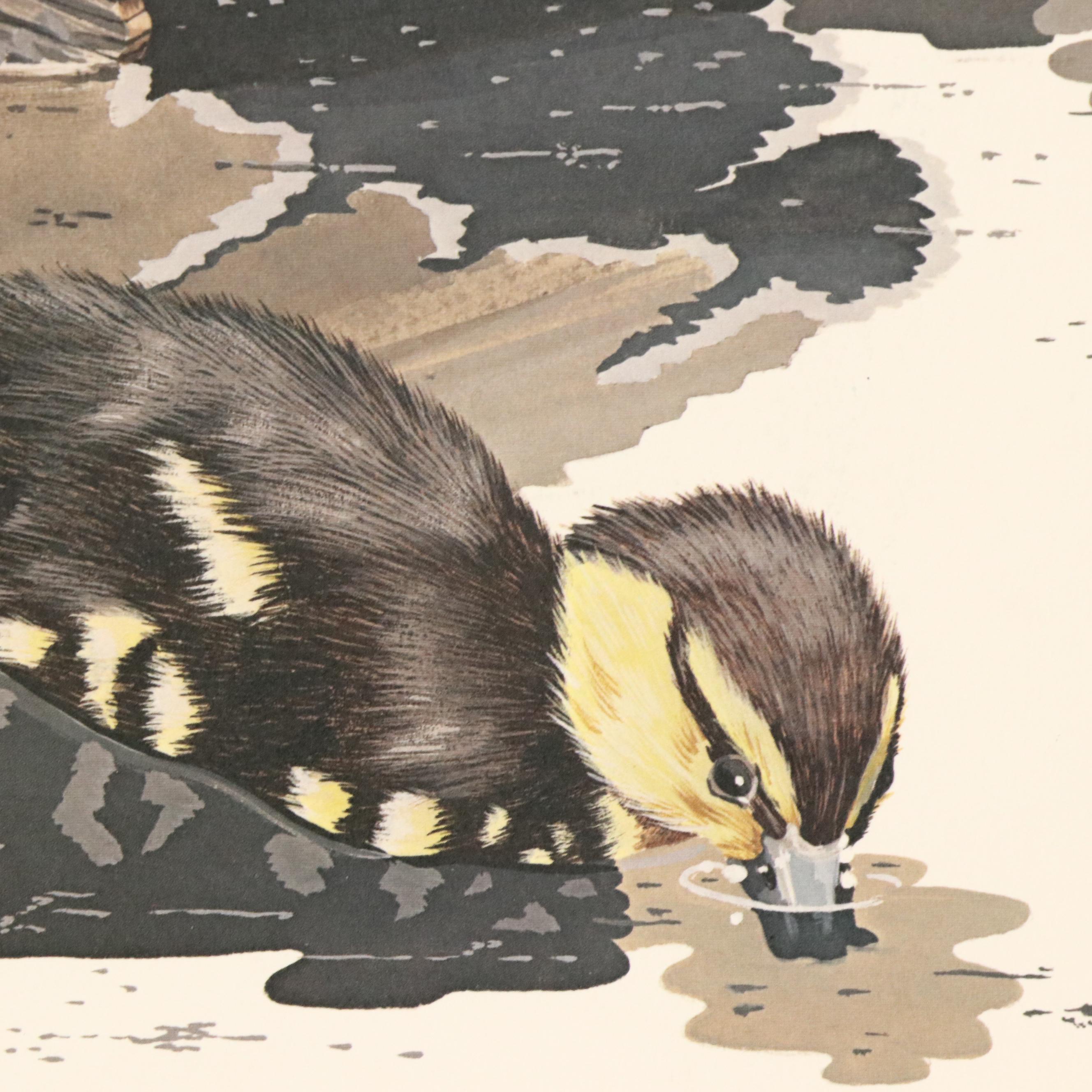 After Gene Gray Offset Lithograph "Baby Mallard," Circa 1976