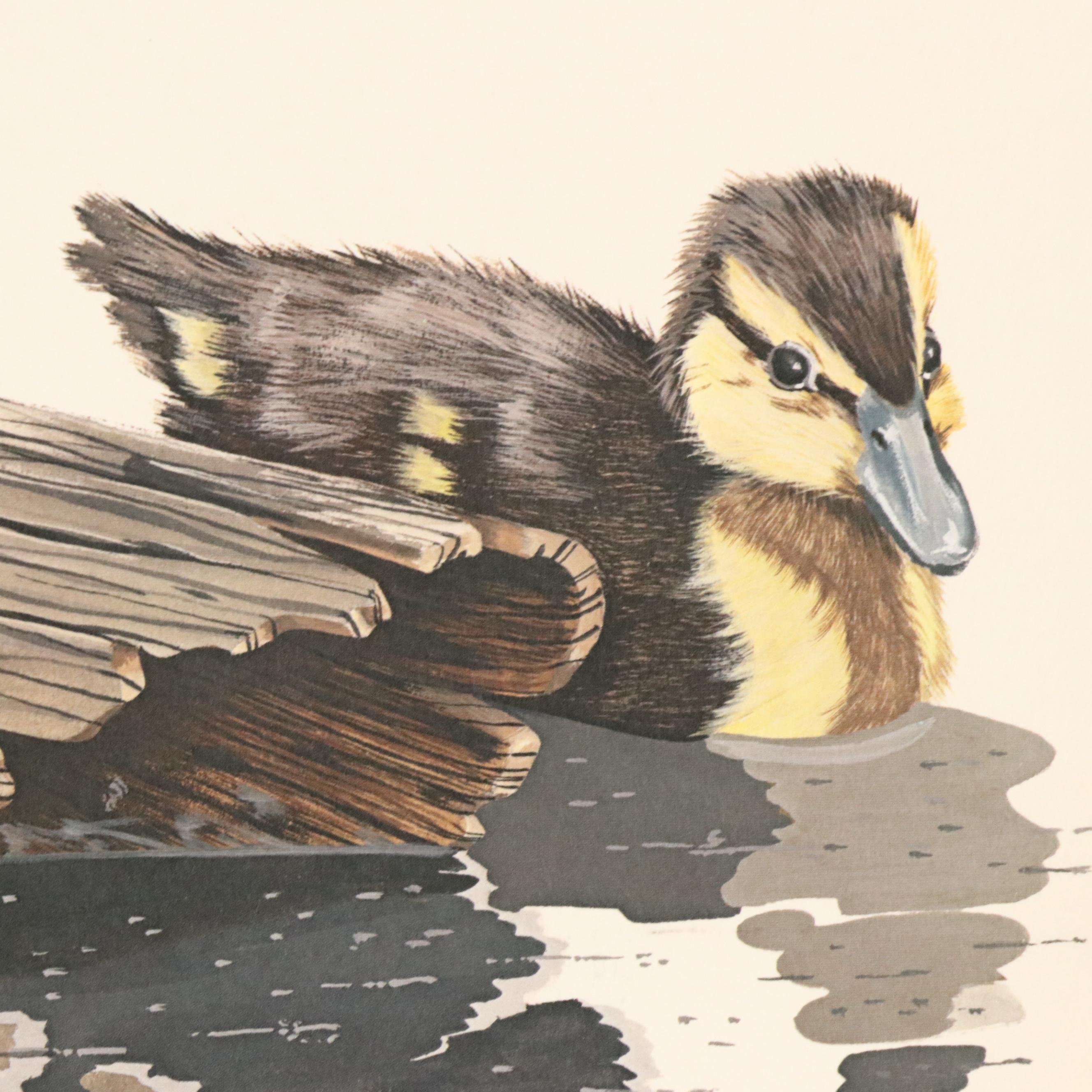 After Gene Gray Offset Lithograph "Baby Mallard," Circa 1976