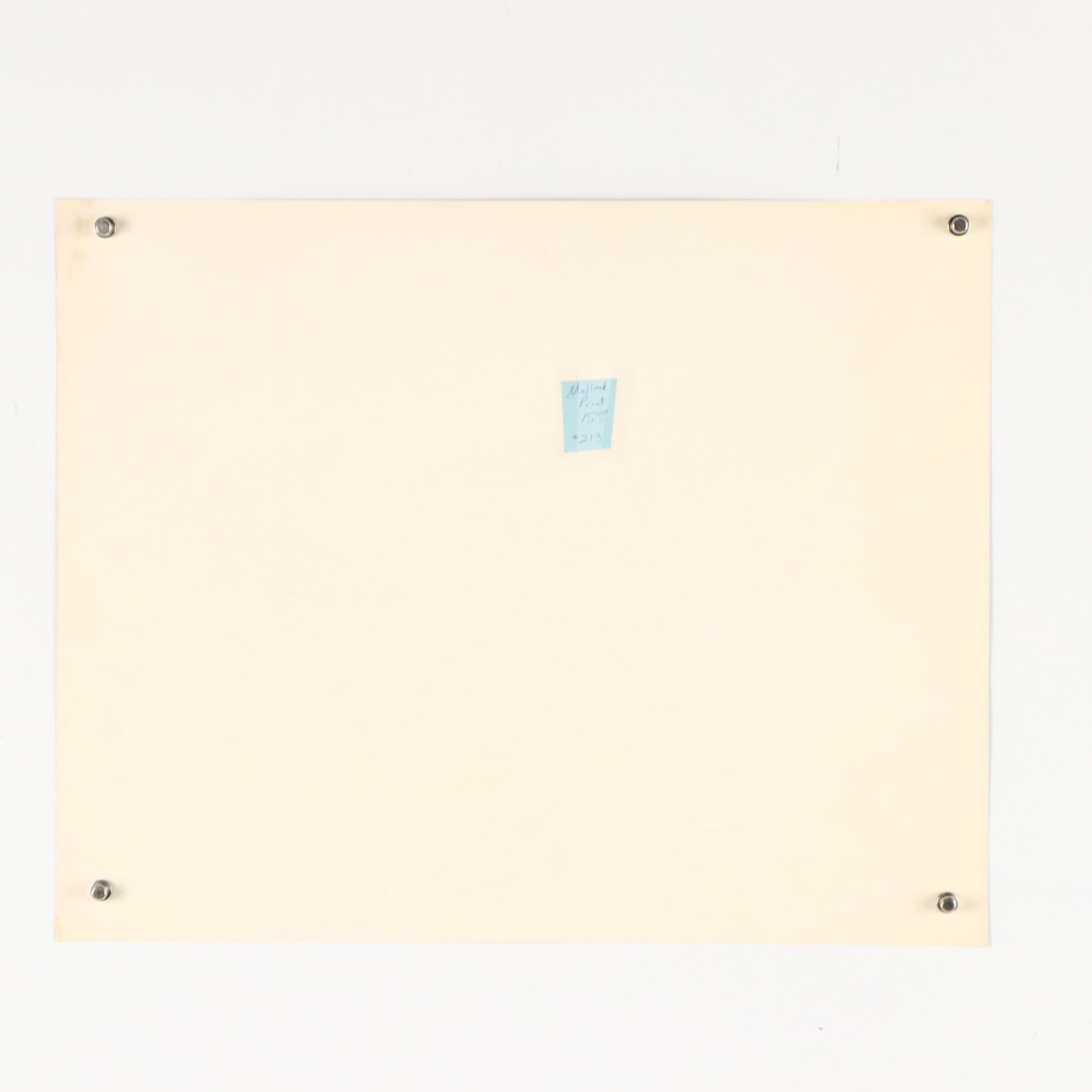 After Gene Gray Offset Lithograph "Baby Mallard," Circa 1976