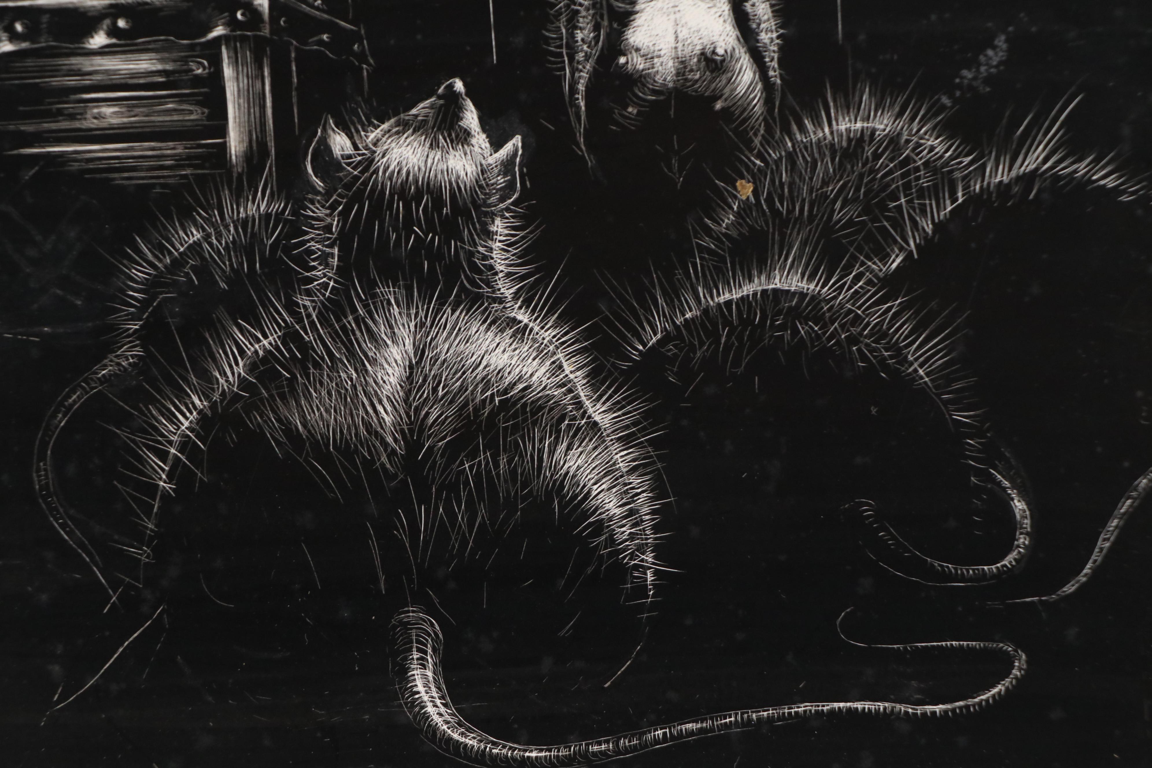 Harvey Shepard Sgraffito Drawing "Rat III - L'Entrée de Celeste," 20th Century
