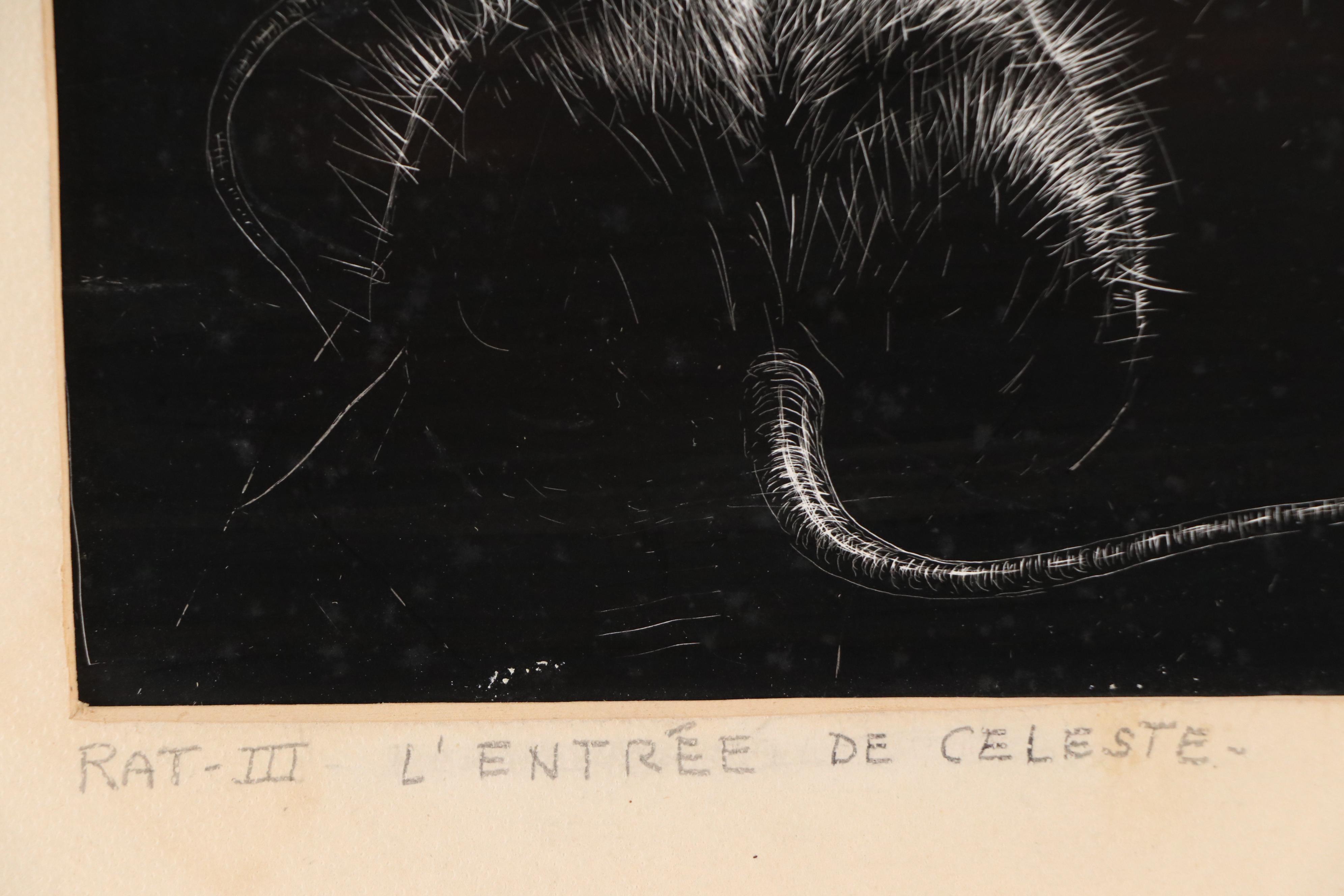 Harvey Shepard Sgraffito Drawing "Rat III - L'Entrée de Celeste," 20th Century