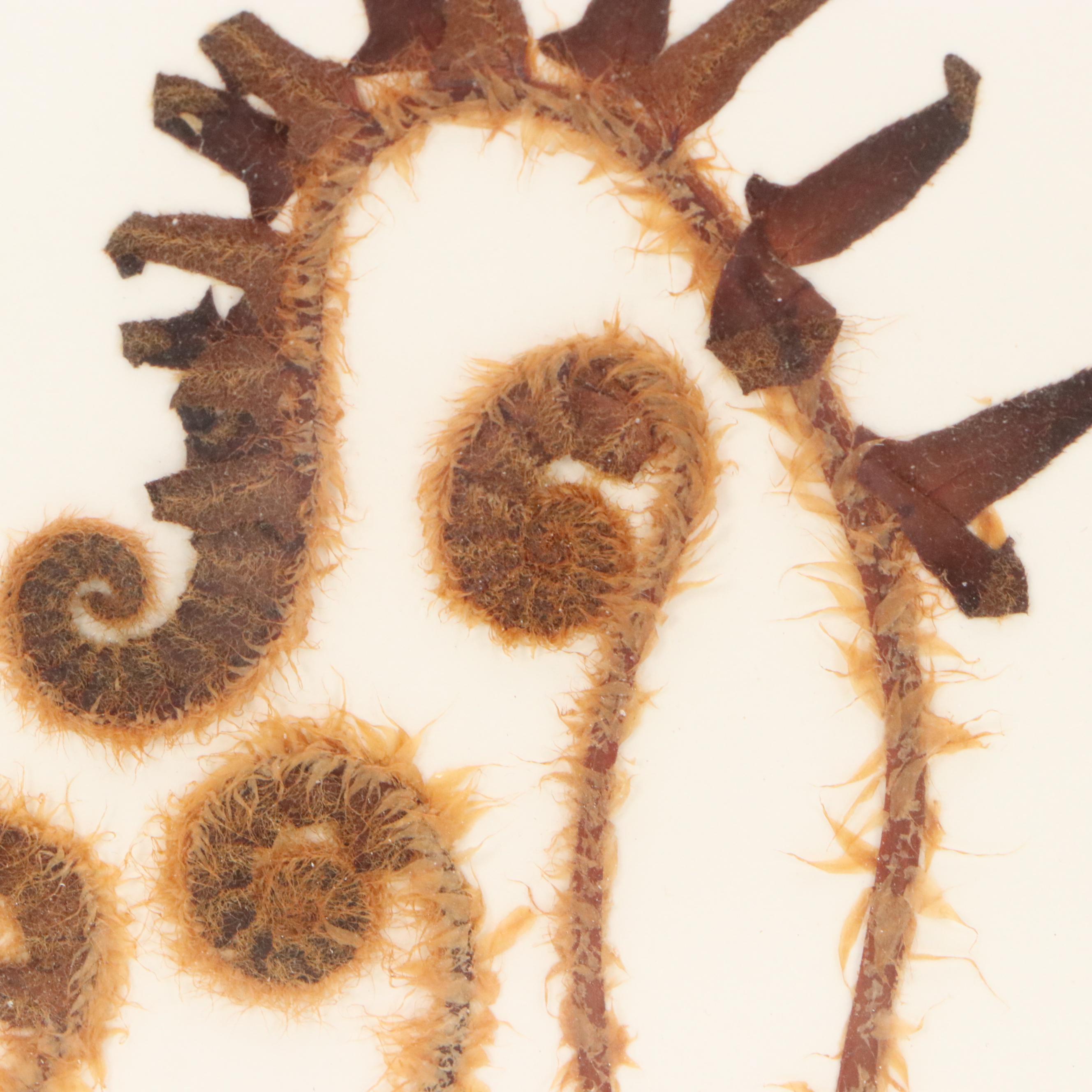 Maggie Lake Pressed Botanical Composition "Christmas Fern in Fiddlehead Stage"