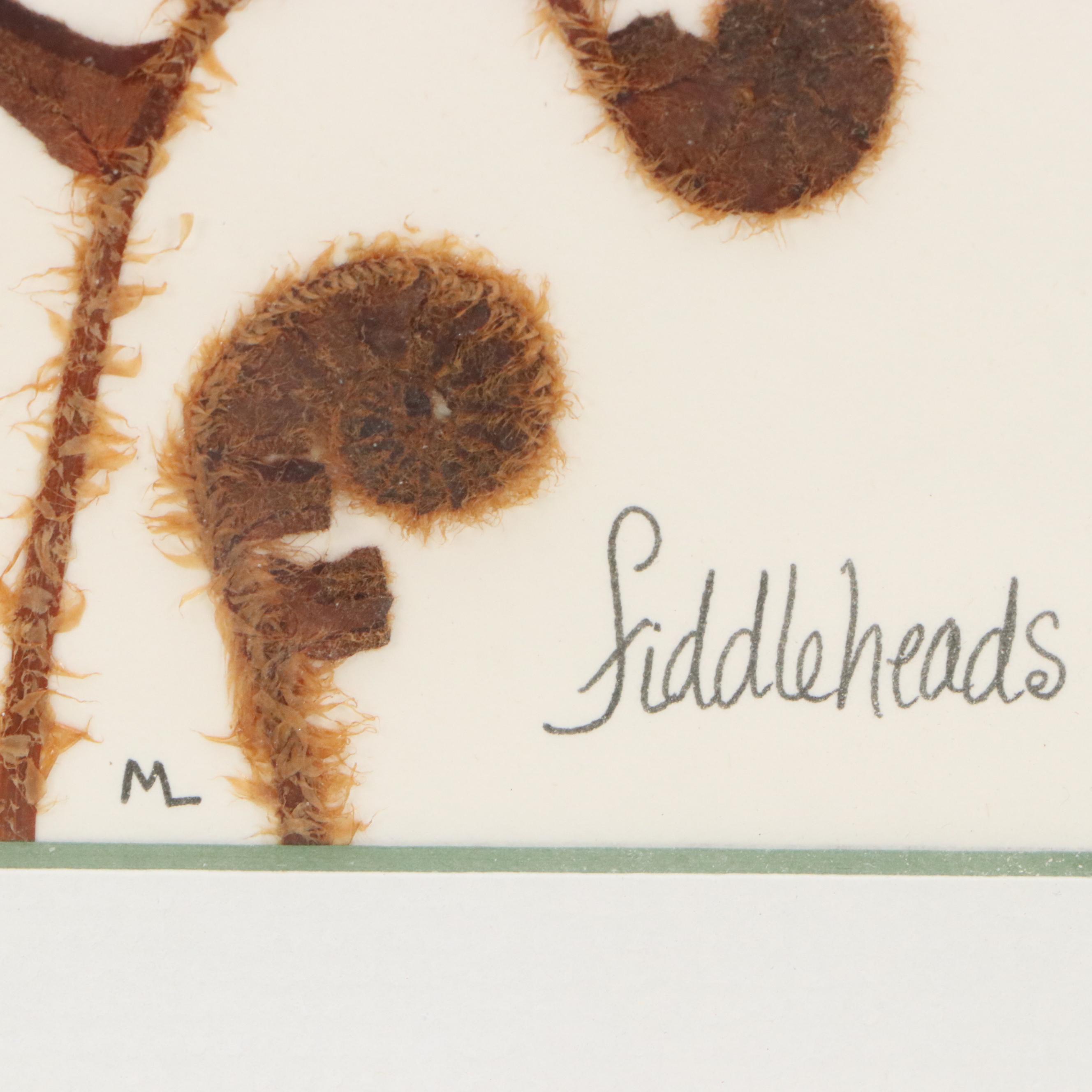 Maggie Lake Pressed Botanical Composition "Christmas Fern in Fiddlehead Stage"