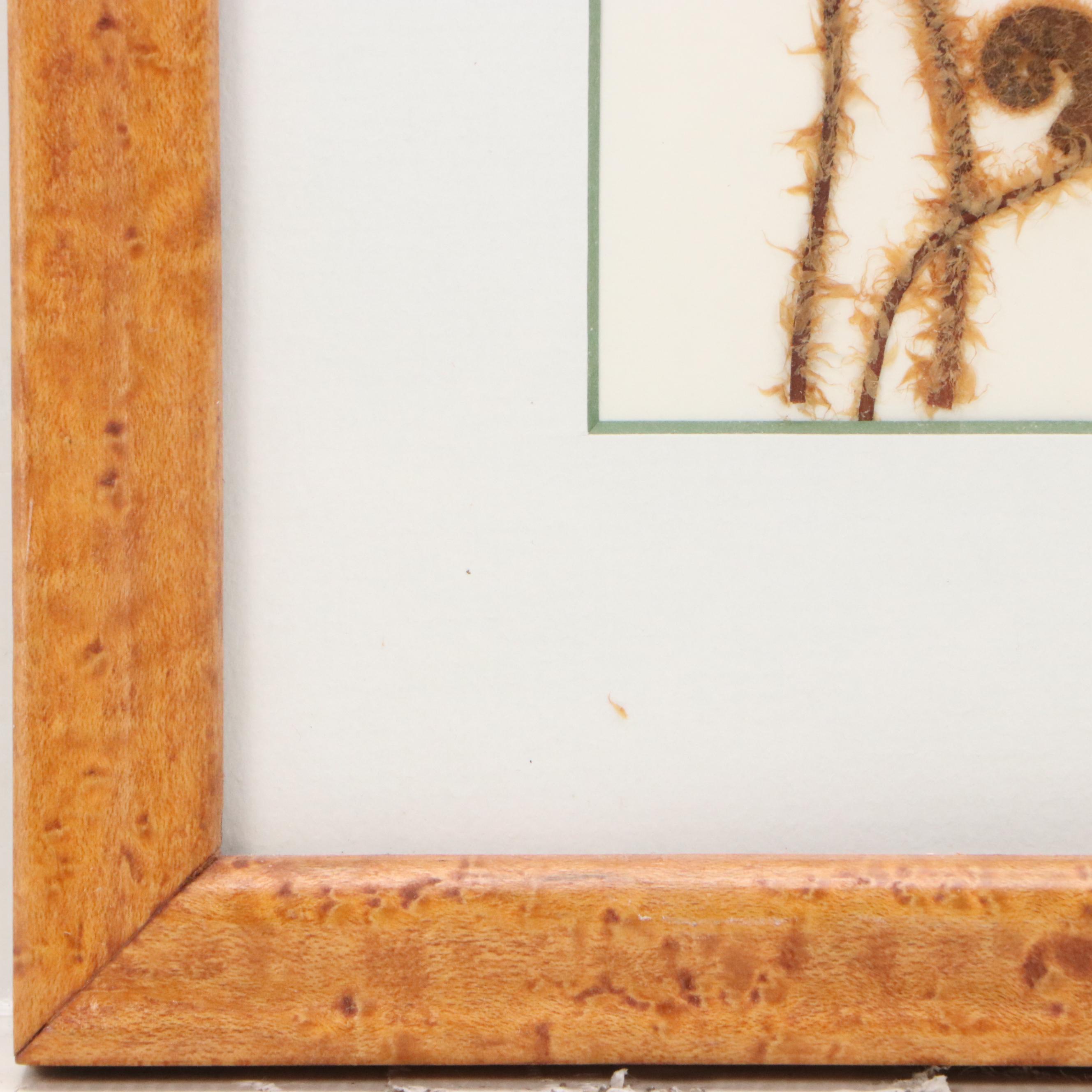 Maggie Lake Pressed Botanical Composition "Christmas Fern in Fiddlehead Stage"