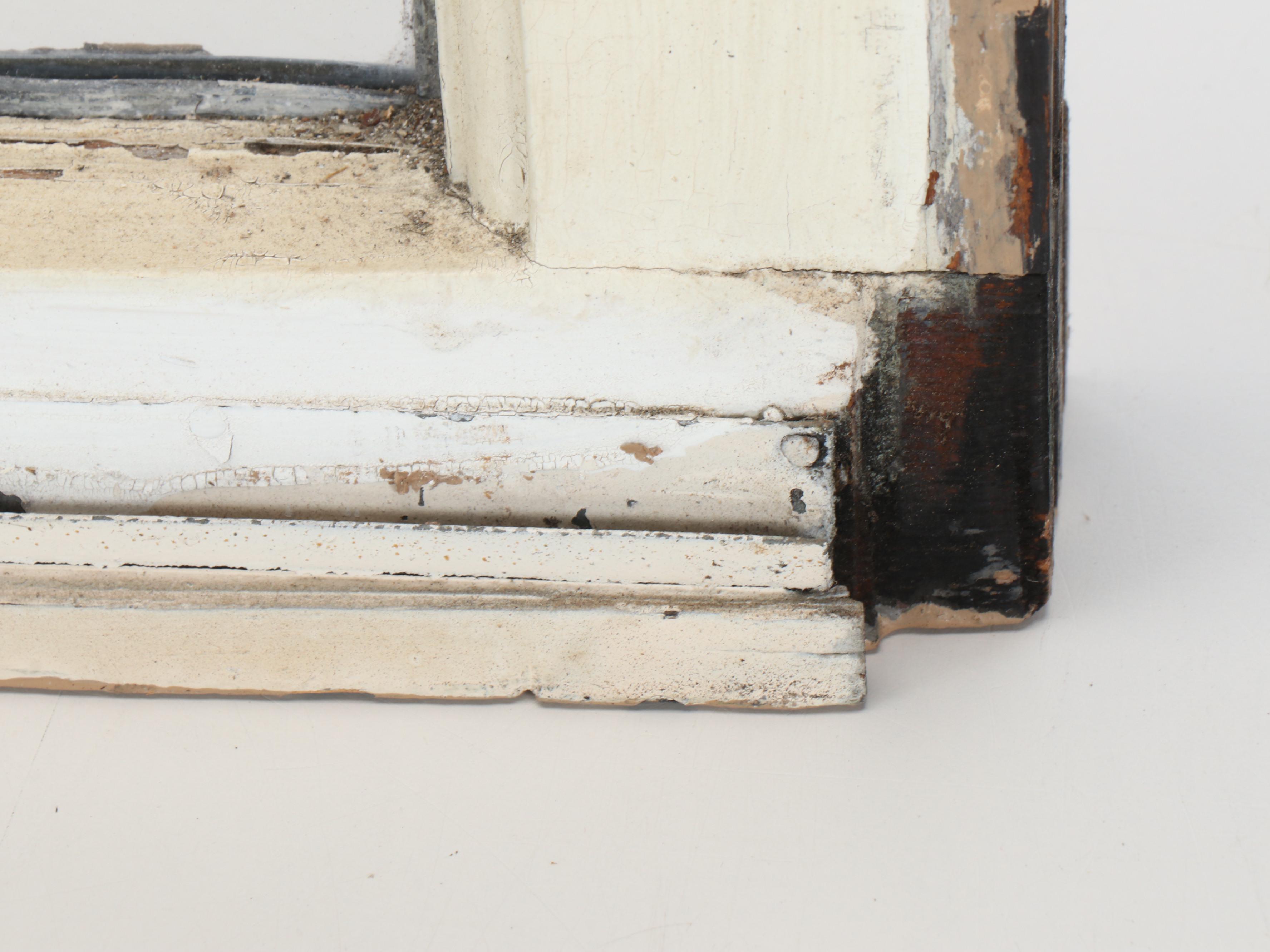 Stained Glass Window Pane with Swift in Shield Motif