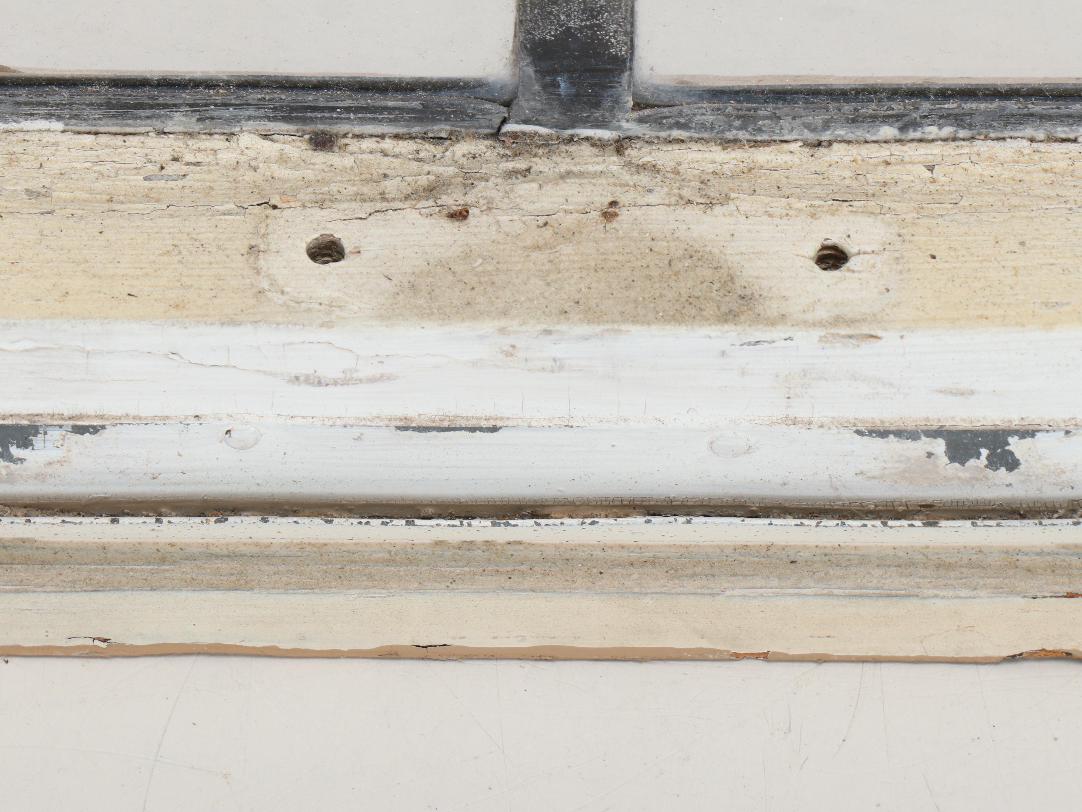 Stained Glass Window Pane with Swift in Shield Motif