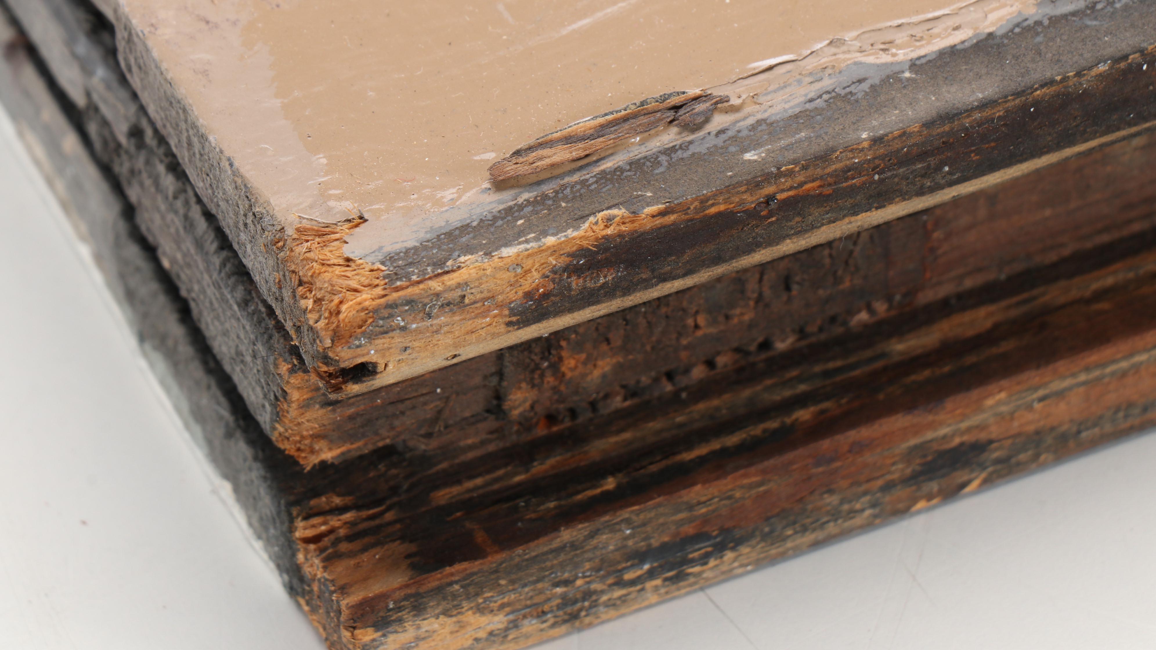 Stained Glass Window Pane with Swift in Shield Motif